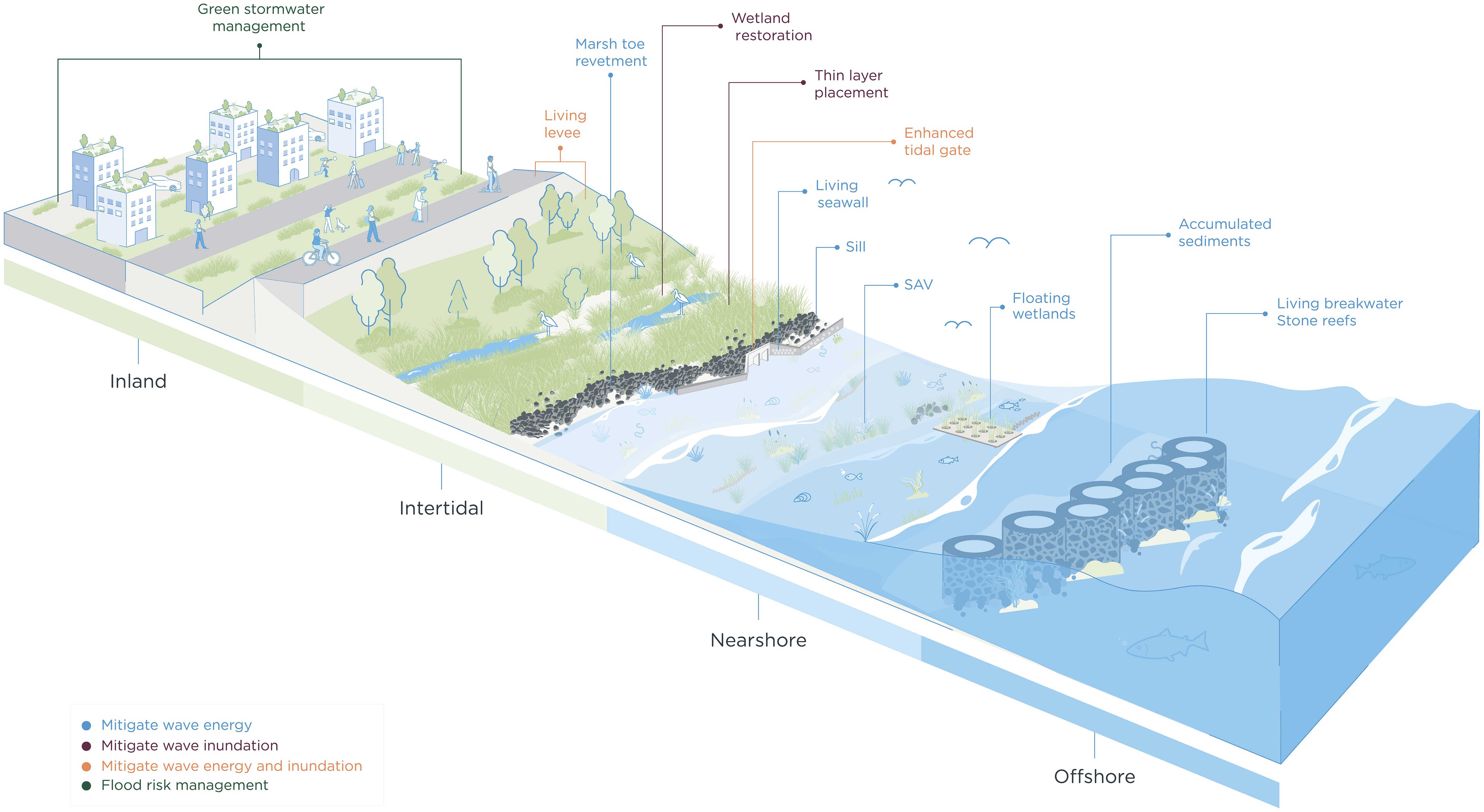 Illustration of coastal management strategies from inland to offshore. Inland features green stormwater management. Intertidal area includes marsh toe revetment, living levee, and wetland restoration. Nearshore has living seawall, sill, seagrass, floating wetlands, and accumulated sediments. Offshore includes living breakwater and stone reefs. Color-coded legend shows functions: mitigating wave energy and inundation, and flood risk management.