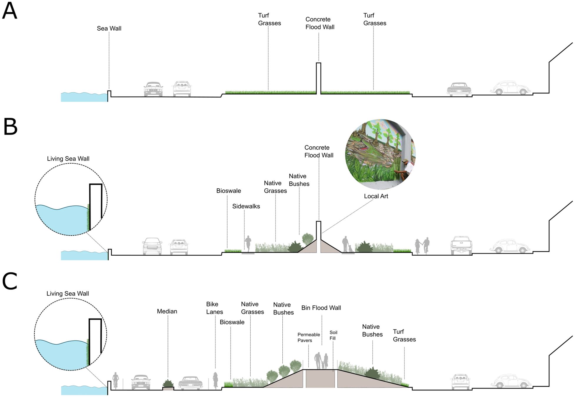 Diagram illustrating three urban cross-sections: A) Standard sea wall with turff grasses and concrete flood wall. B) Enhanced design with a living sea wall, bioswale, sidewalks, native grasses, bushes, and local art. C) Advanced design incorporating living sea wall, median, bike lanes, bioswale, soil fill, and native vegetation.