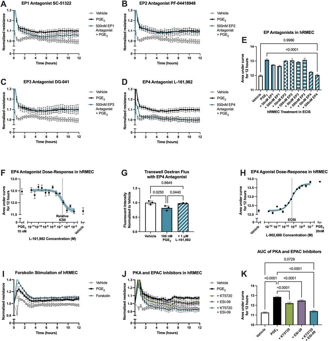 Graphs and bar charts show the effects of EP antagonists and other treatments on hRMECs. Panels A-D display normalized resistance over time for different antagonists. Panel E presents the area under the curve for each treatment. Panel F shows dose-response of EP4 antagonist. Panel G compares transwell dextran flux across treatments. Panel H displays EP4 agonist dose-response. Panels I-J show normalized resistance with forskolin, PKA, and EPAC inhibitors. Panel K illustrates area under the curve outcomes, indicating statistical significance in treatments.