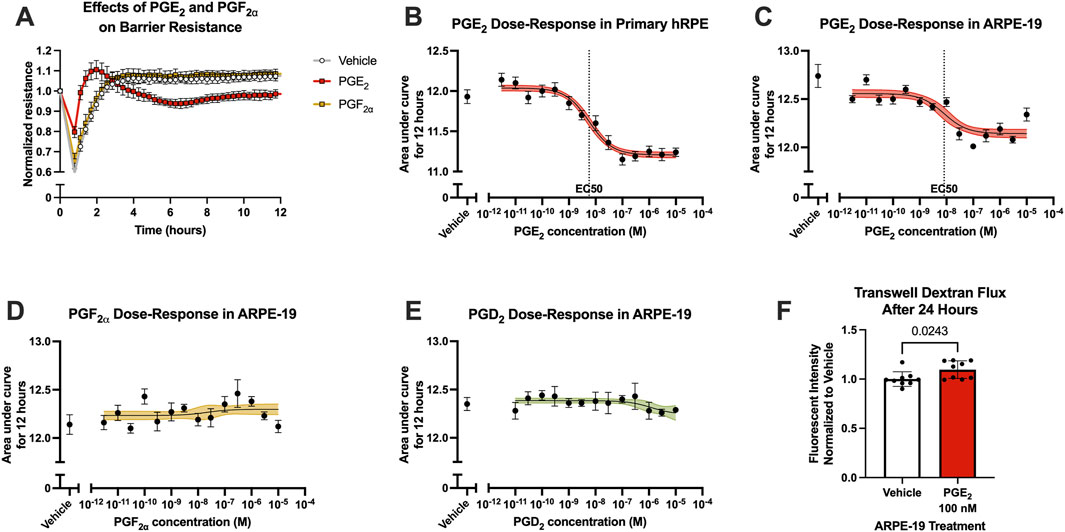 Six panels show data on prostaglandin effects. Panel A: Line graph of normalized resistance over time with vehicle, PGE₂, and PGF₂α. Panels B, C, D, E: Dose-response graphs for PGE₂ in hRPE and ARPE-19, PGF₂α and PGD₂ in ARPE-19, all showing area under curve for concentrations. Panel F: Bar graph of transwell dextran flux showing fluorescent intensity in vehicle and PGE₂ after ARPE-19 treatment, with statistical significance marked.