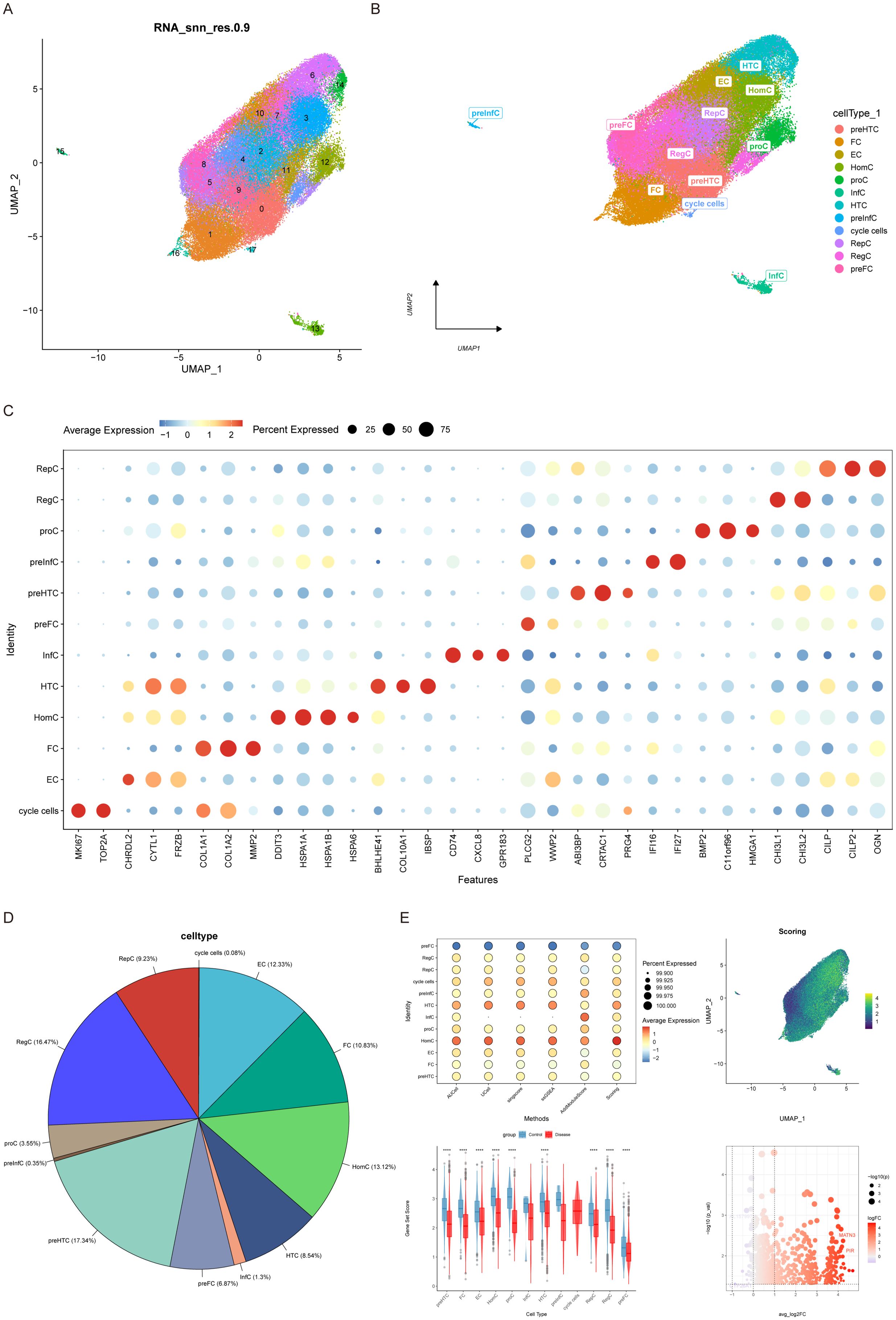 A set of five visualizations related to cell data analysis: A. A UMAP plot displaying cell clusters in different colors labeled by cell type. B. Another UMAP plot highlighting a specific cell type. C. A dot plot showing average expression and percent expressed of various features across cell types, with color and size variations. D. A pie chart illustrating the distribution and percentage of different cell types. E. Multiple plots including another dot plot for expression data, a UMAP plot with scoring, and a box plot for cell size comparisons. An accompanying legend explains color codes for cell types.