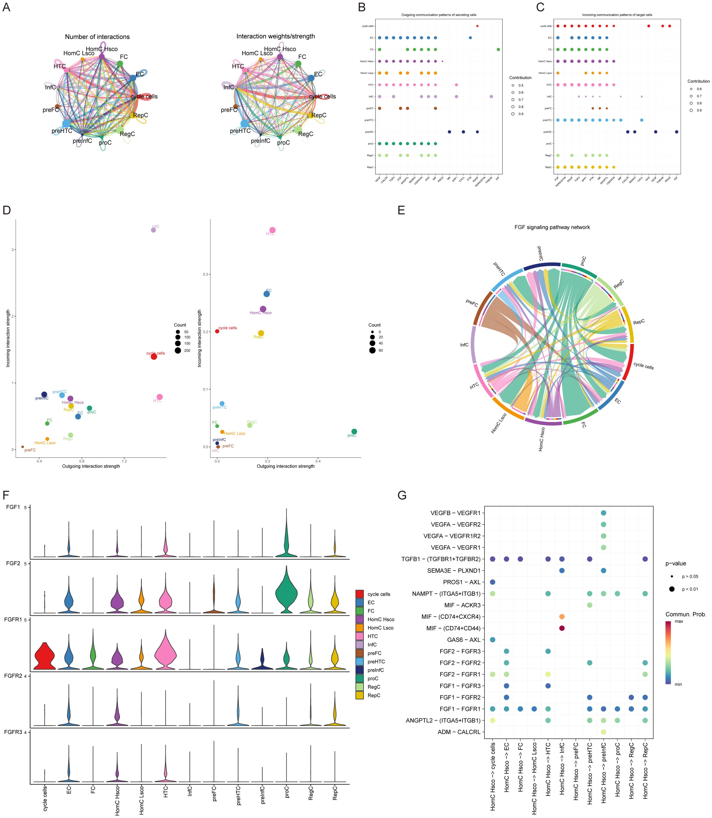 A multi-panel scientific illustration displaying various data visualizations related to cell interaction networks. Panel A shows circular network diagrams comparing the number of interactions and interaction strength between cell types. Panels B and C are dot plots indicating clustering communication patterns of sending and receiving cells with color-coded contributions. Panel D features scatter plots illustrating incoming versus outgoing interaction strengths for different cell types. Panel E presents a colorful chord diagram of the FGF signaling pathway network. Panel F shows violin plots comparing expression levels across cell types. Panel G depicts a dot plot illustrating communication probabilities between interactions, color-coded by p-value.