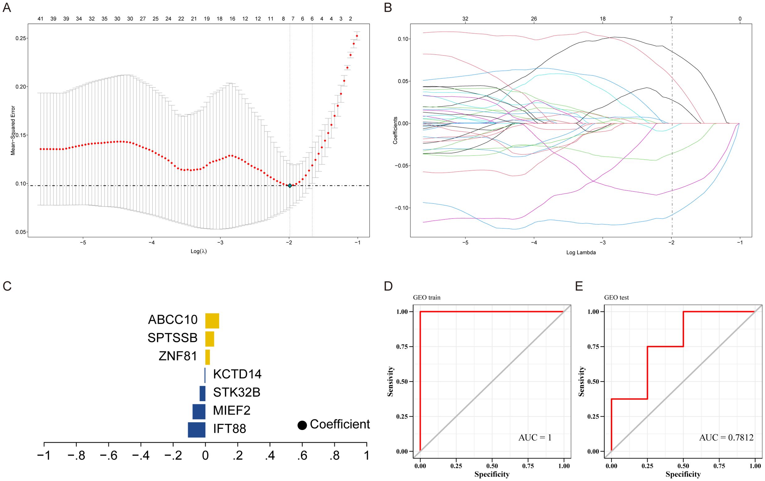 Five-panel image showing statistical and graphical analysis. Panel A depicts a plot of mean squared error versus log lambda, with error bars and a curve showing error reduction. Panel B shows coefficient paths for different variables against log lambda. Panel C is a bar graph listing genes with coefficients represented by colored blocks. Panel D illustrates a receiver operating characteristic (ROC) curve with an area under the curve (AUC) of 1 for a training set. Panel E exhibits an ROC curve for a test set with an AUC of 0.7812.