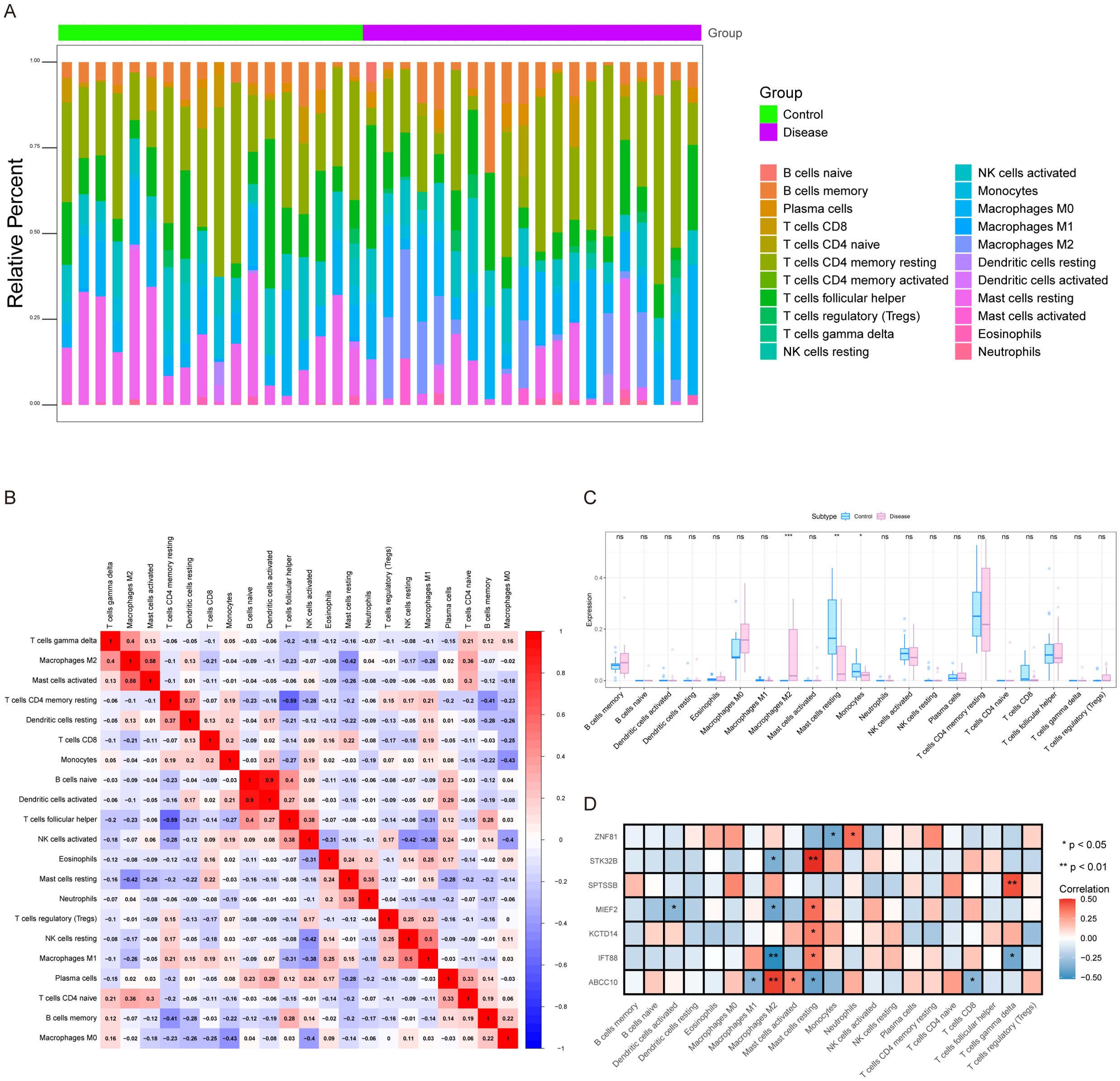 Panel A displays a stacked bar chart showing the relative percentages of different cell types in control and disease groups. Panel B presents a heatmap of correlation coefficients among various cell types. Panel C features box plots comparing cell type expressions between control and disease subtypes. Panel D depicts a heatmap indicating gene expression correlations with significance markers, where colors represent correlation strength.