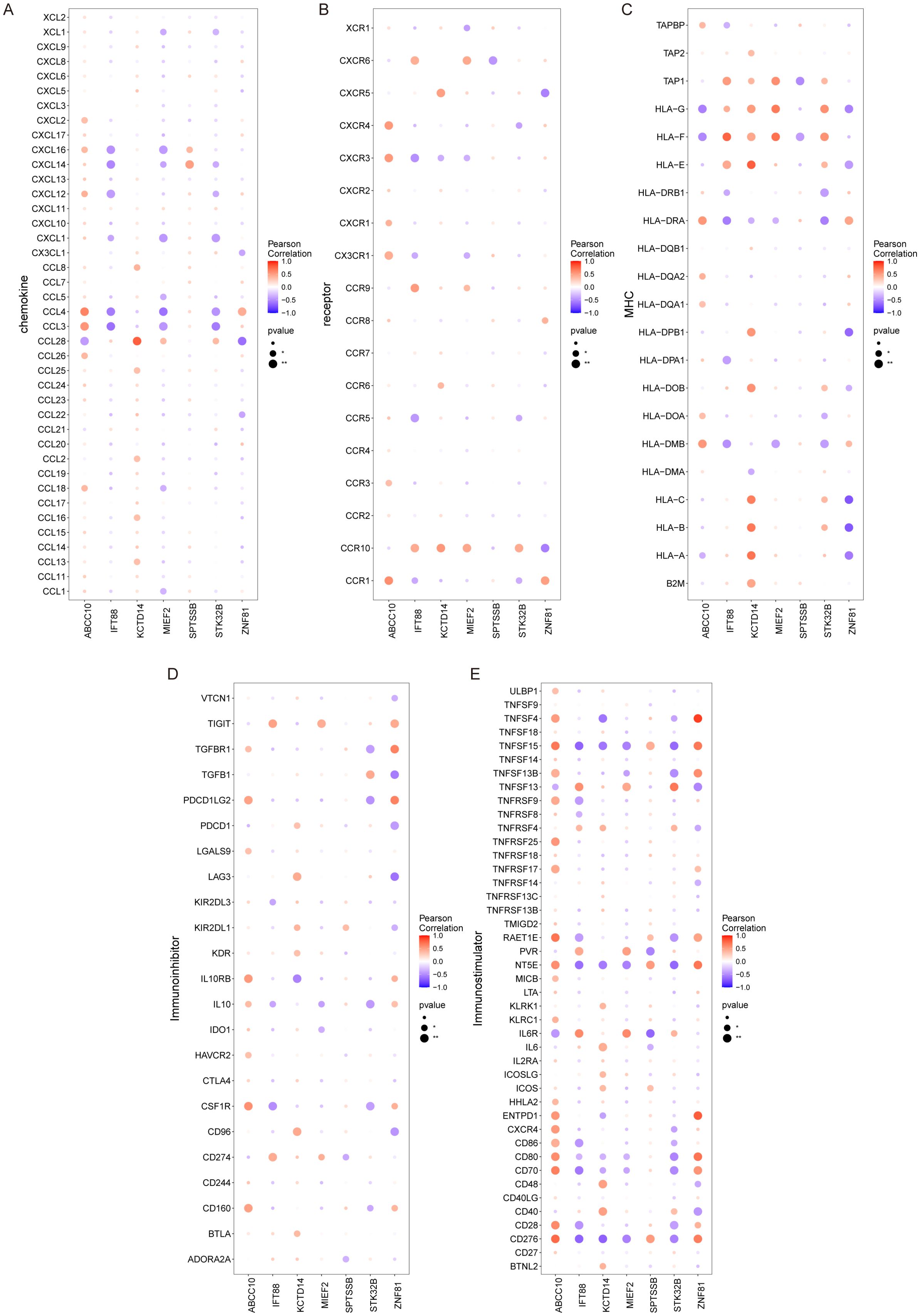 Dot plots illustrate Pearson correlation between specific genes and factors such as chemokines, receptors, MHC molecules, immunoinhibitors, and immunostimulators. Each plot (A-E) visualizes correlations using color gradients from blue to red, where red indicates positive correlation and blue indicates negative. Dot sizes represent the p-value significance, with larger dots indicating more significant results.