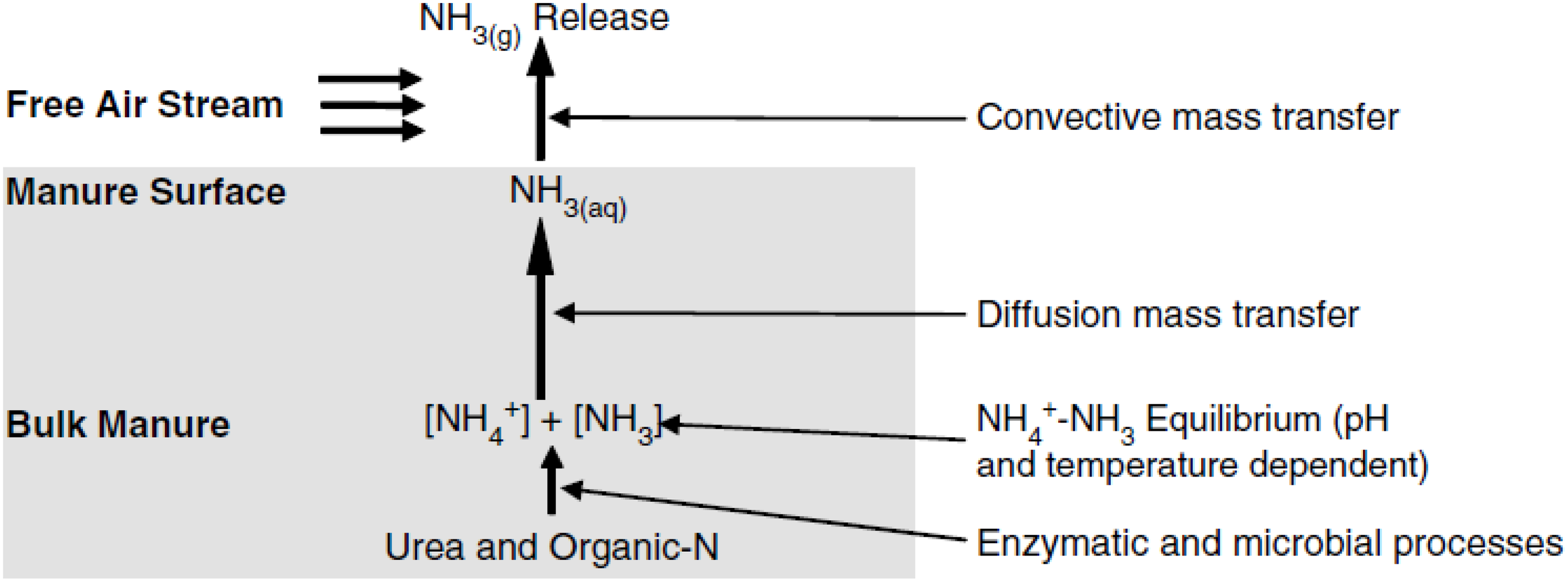 Diagram illustrating the process by which nitrogen excreted in manure is transformed and volatilized as ammonia into the atmosphere.