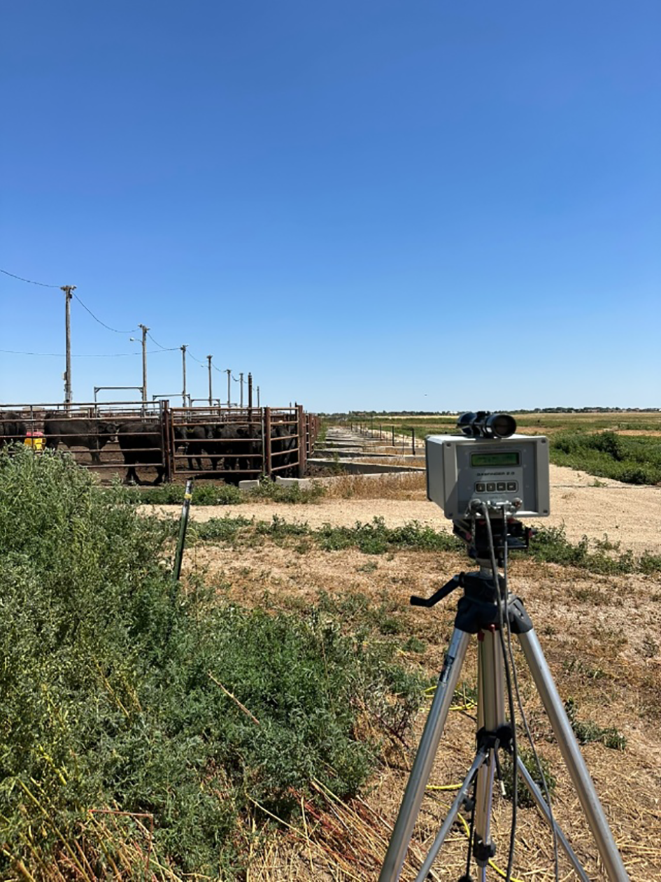 Open-path lasers were installed within the beef cattle feedyard to measure ammonia concentrations. The ammonia concentration data obtained from the laser, combined with wind profile measurements, are used to estimate ammonia emissions.