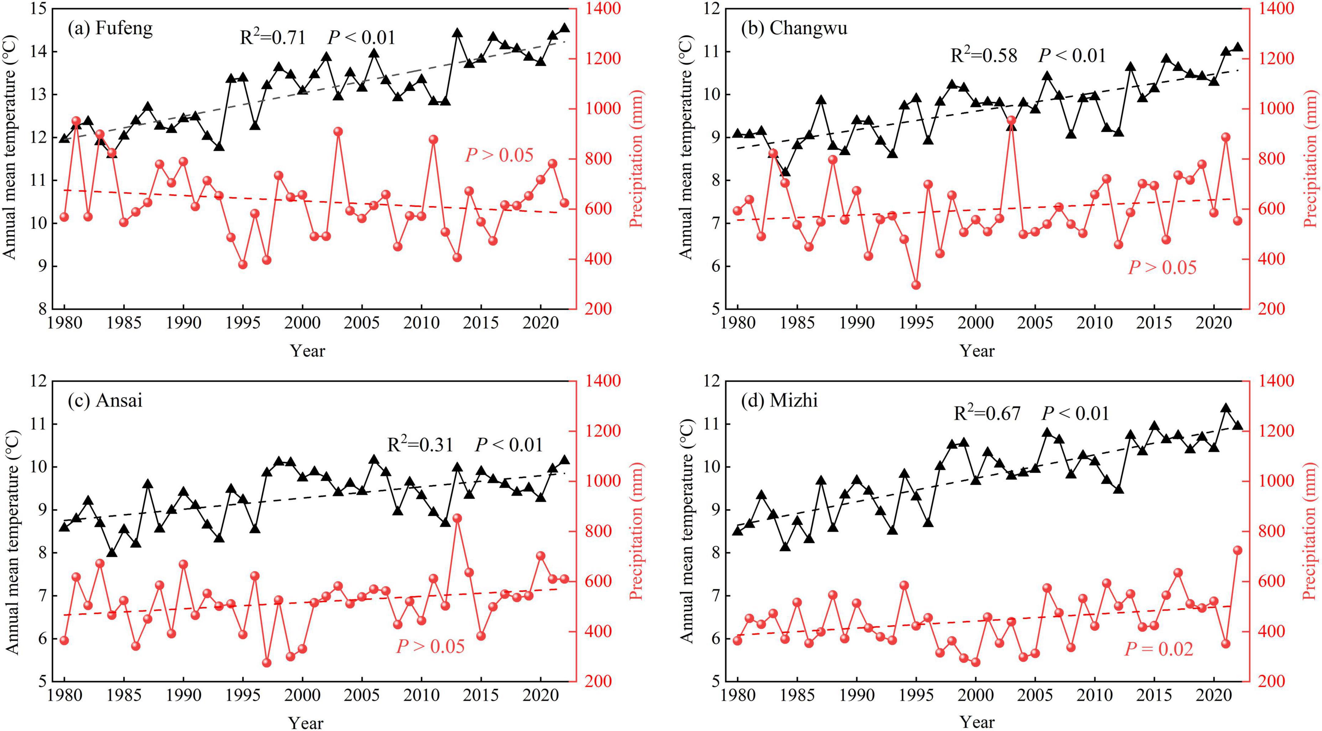 Four line charts show annual mean temperature and precipitation trends from 1980 to 2020 for Fufeng, Changwu, Ansai, and Mizhi. Each chart features temperature data with black triangles and precipitation data with red circles. All charts show an increase in temperature with significant correlations (R² values ranging from 0.31 to 0.71, P < 0.01). Precipitation trends vary, with Changwu and Ansai showing non-significant changes (P > 0.05) while Mizhi shows a slight increase (P = 0.02).
