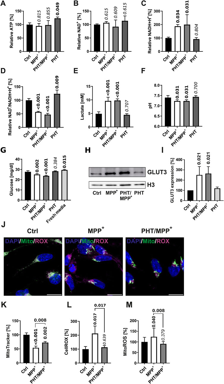 Bar graphs and microscopic images illustrate cellular and metabolic responses under different conditions: control (Ctrl), MPP⁺, PHT/MPP⁺, and PHT. The graphs (A-G, I, K-M) display changes in ATP, NAD⁺, NADH+H⁺, NADH/NADH+H⁺ ratio, lactate, pH, glucose levels, GLUT3 expression, MitoTracker, CellROX, and MitoROS. Western blot (H) shows GLUT3 and H3 expression. Fluorescence microscopy (J) visualizes cellular components labeled with DAPI, MitoTracker, and CellROX, highlighting changes under varied treatments, with statistical significance noted in each graph.