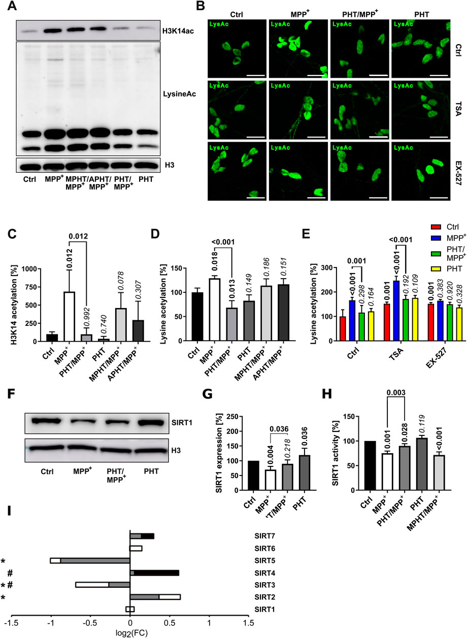 A composite image displays various experimental results: (A) Western blot showing protein bands for H3K14ac, LysineAc, and H3 across different treatments (Ctrl, MPP+, MPHT/MPP+, APHT/MPP+, PHT/MPP+, PHT). (B) Fluorescent microscopy images of cells treated with different inhibitors (TSA, EX-527) showing LysAc in green. Panels labeled by conditions such as Ctrl and MPP+. (C-E) Bar graphs displaying H3K14 and Lysine acetylation levels with statistical significance indicated. (F) Western blot of SIRT1 levels with H3 as control. (G-H) Bar graphs showing SIRT1 expression and activity levels with significance noted. (I) Bar chart depicting the fold change in expression of SIRT family proteins across different conditions.