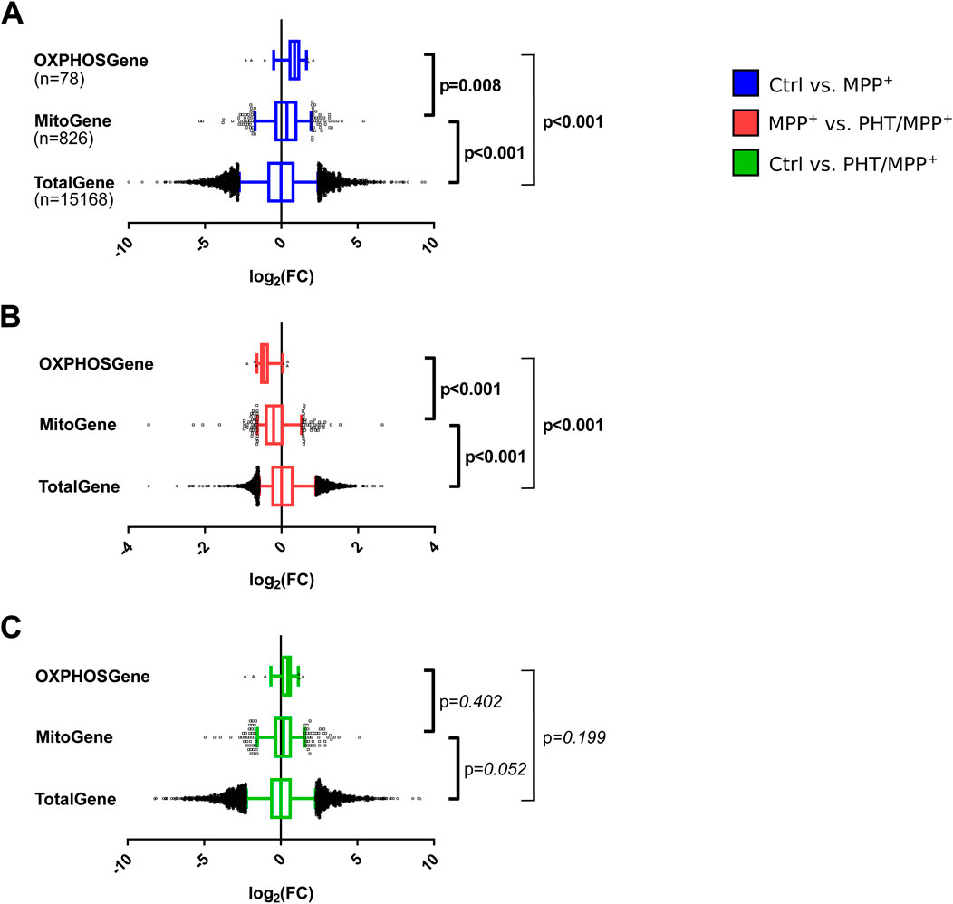 Three box plots (A, B, and C) compare gene expression changes across different functional groups of genes: OXPHOSGene, MitoGene, and TotalGene, represented on the x-axis by log2 fold change. Graph A shows blue boxes comparing Ctrl vs. MPP+, with significant differences. Graph B features red boxes comparing MPP+ vs. PHT/MPP+, also showing significant differences. Graph C shows green boxes comparing Ctrl vs. PHT/MPP+, with no significant differences. P-values are displayed next to each plot.