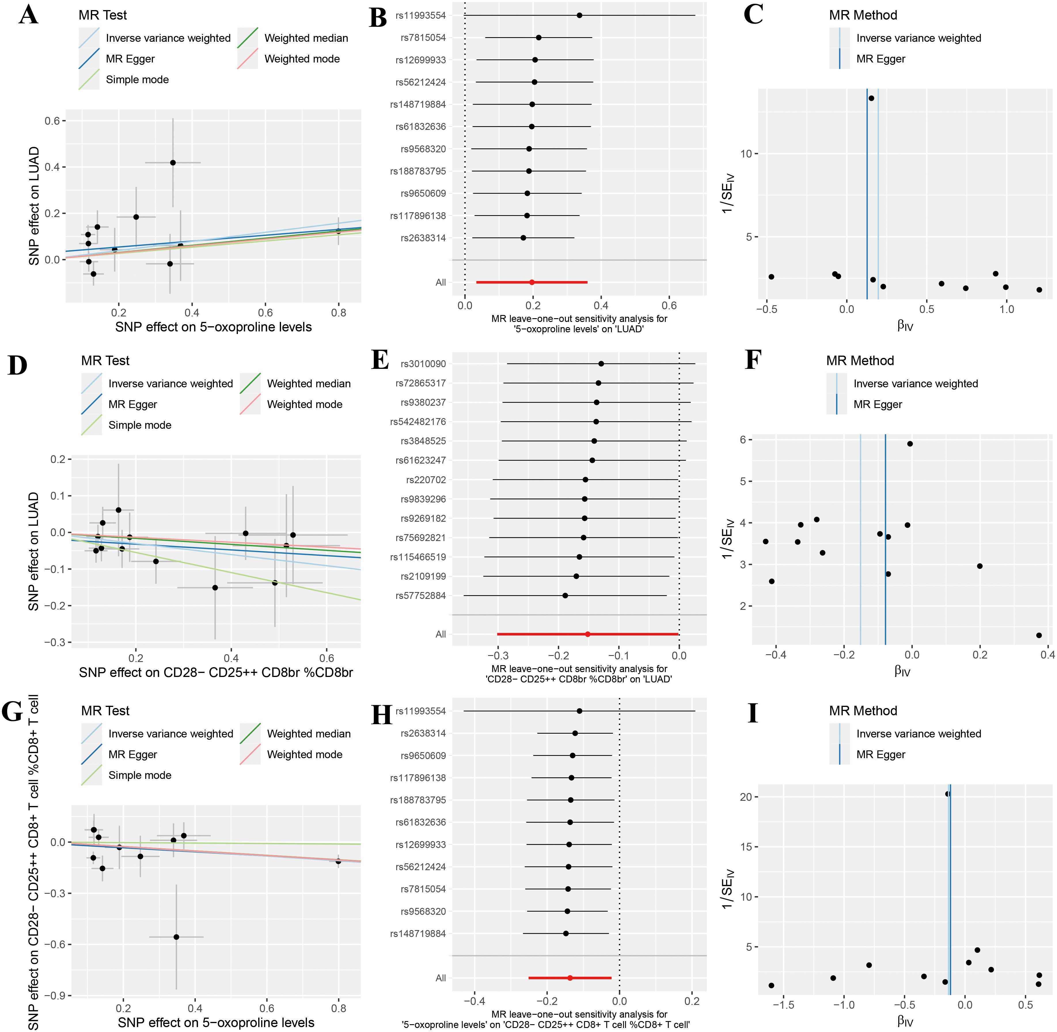 Graphs and plots illustrating Mendelian randomization (MR) results: A, D, G show scatter plots with MR test lines for SNP effects on LUAD versus other variables. B, E, H are leave-one-out sensitivity analyses, displaying confidence intervals for different SNPs. C, F, I are funnel plots for inverse variance weighted and MR Egger methods, plotting \( \beta \) values against \( 1/SE \). The analyses explore genetic associations with various markers.