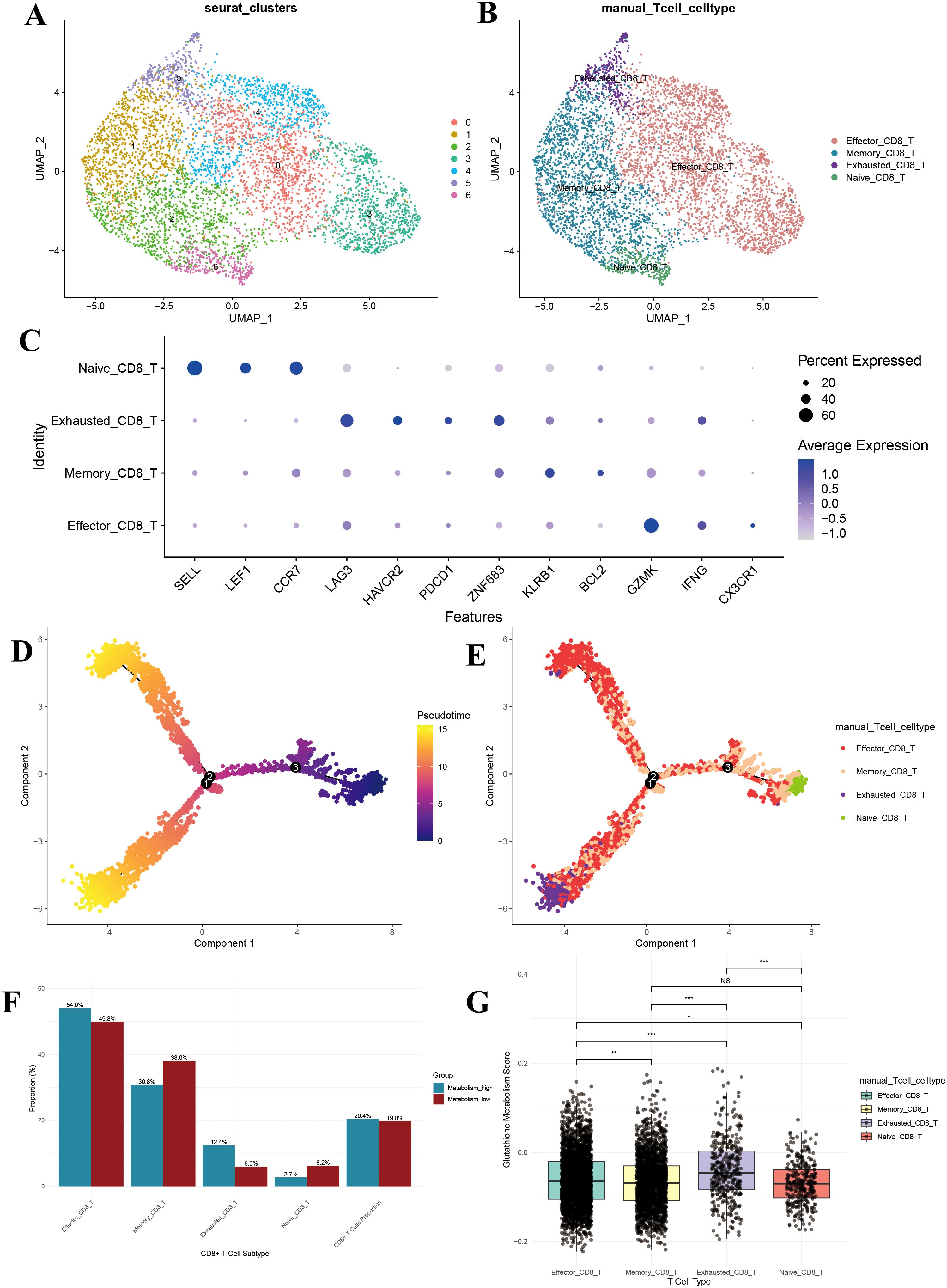 Panel A and B: UMAP plots showing clusters of cells, colored by seurat clusters and T cell types. Panel C: Dot plot of gene expression across T cell types. Panel D and E: Trajectory analysis showing pseudotime progression of cells, with colors indicating pseudotime and cell types. Panel F: Bar graph comparing proportions of CD8+ T cell subtypes across two groups. Panel G: Box plot displaying glutathione metabolism scores for different CD8+ T cell types with significance indicators.