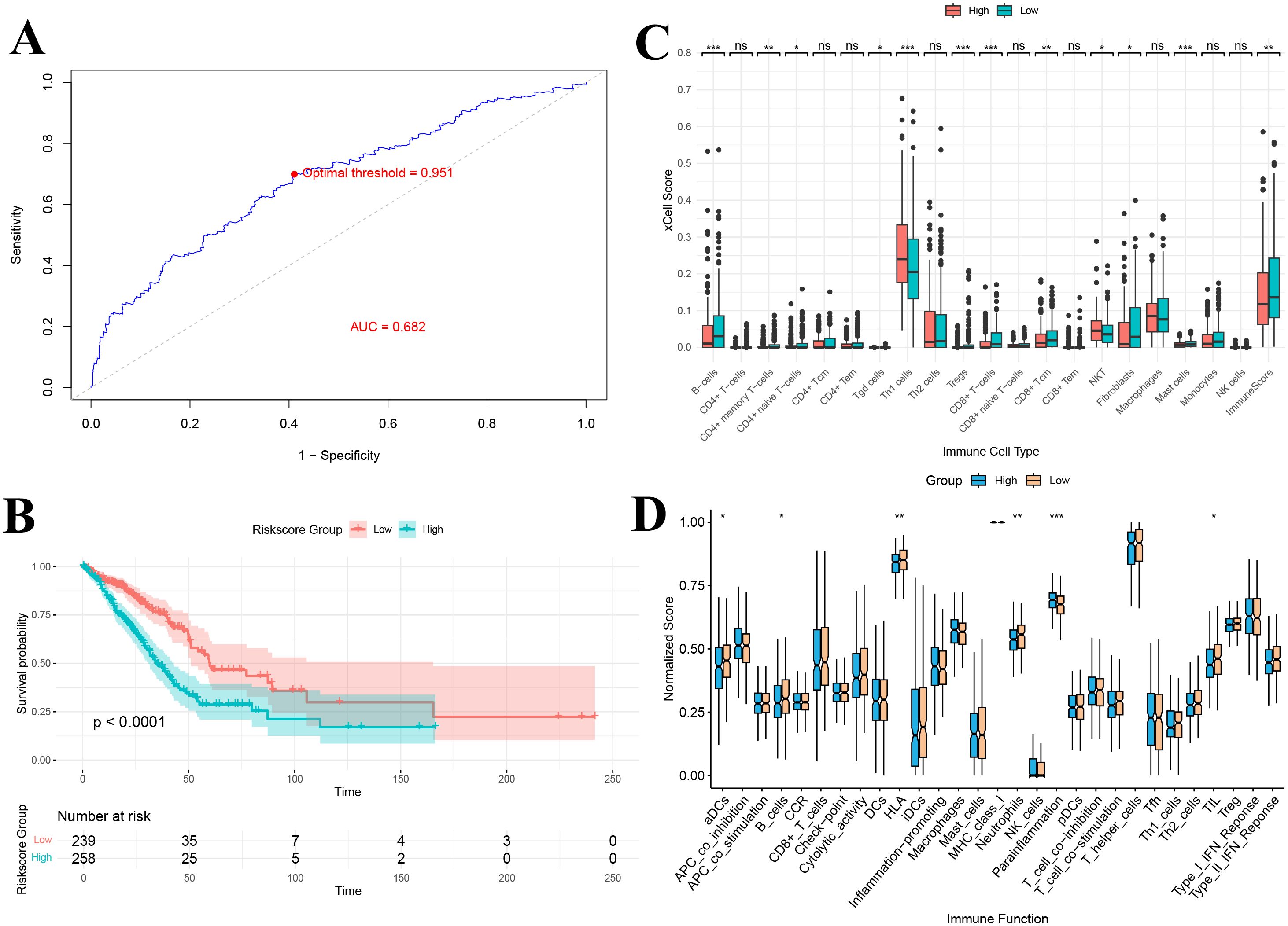 Figure A shows an ROC curve evaluating model performance with an AUC of 0.682 and an optimal threshold of 0.951. Figure B presents a Kaplan-Meier survival plot comparing low and high-risk groups, indicating significant differences with a p-value of less than 0.0001. Figure C consists of box plots showing the distribution of xCell scores for various immune cell types in high and low groups. Figure D displays box plots of normalized scores for different immune functions, comparing high and low groups.