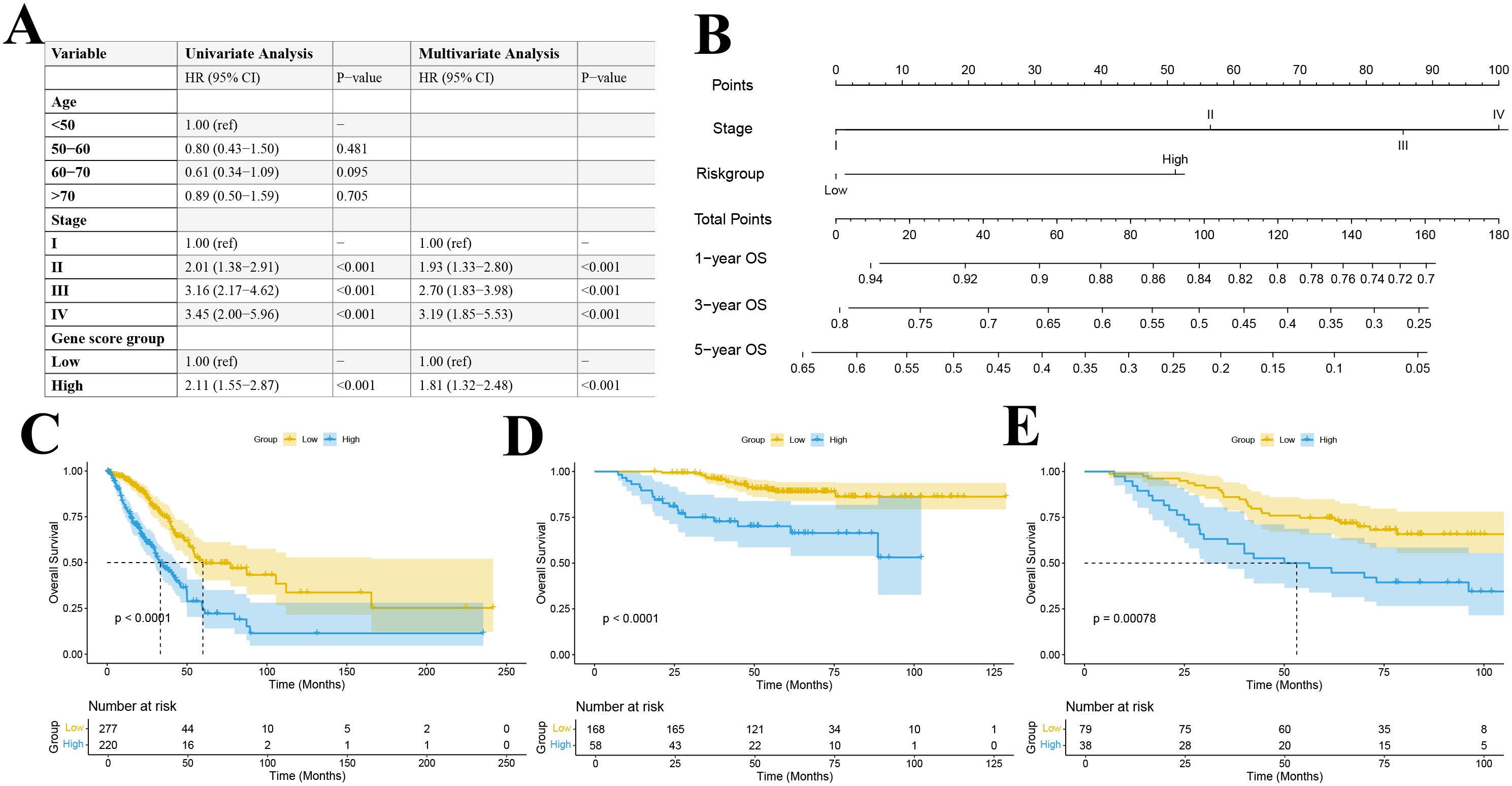 Panel A presents a table showing univariate and multivariate analyses of various variables like age, stage, and gene score group with hazard ratios and p-values. Panel B is a nomogram for predicting survival at different time points based on stage and risk group. Panels C, D, and E display Kaplan-Meier curves comparing overall survival between low and high gene score groups, showing significant differences, with p-values less than 0.001 in each panel.
