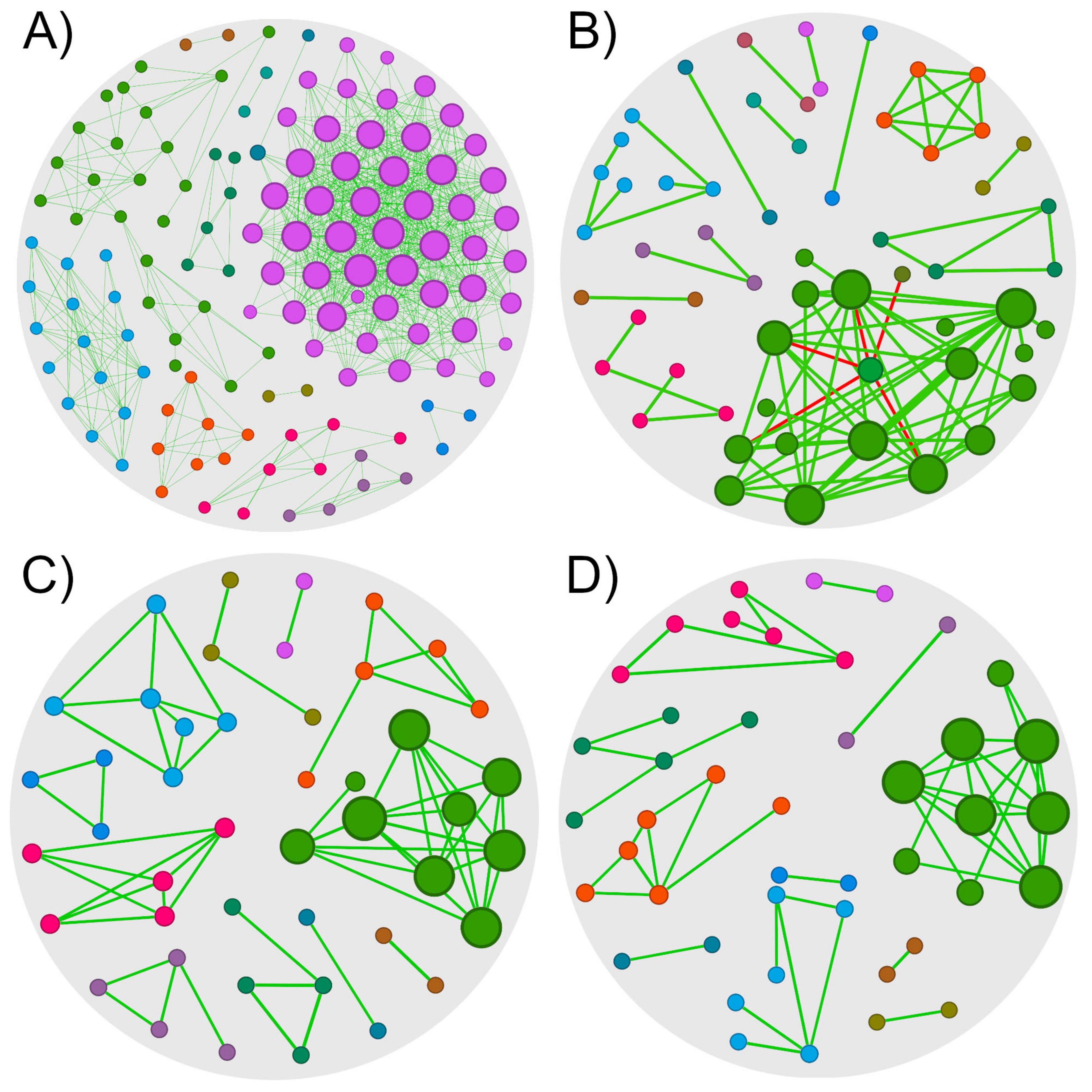 Figure with four circular microbial co-occurrence networks showing midgut microbiota assembly in Rhipicephalus microplus ticks. (A) Uninfected at 0 h: dense network with high connectivity. (B) Uninfected at 72 h: fewer connections, larger green nodes. (C) Babesia bovis-infected at 0 h: small clusters with moderate connectivity. (D) Infected at 72 h: fragmented network with sparse interactions. Node colors represent bacterial taxa; edge density reflects co-occurrence strength. The figure illustrates temporal and infection-driven shifts in microbial network structure, emphasizing reduced connectivity and altered community organization in infected ticks over time.