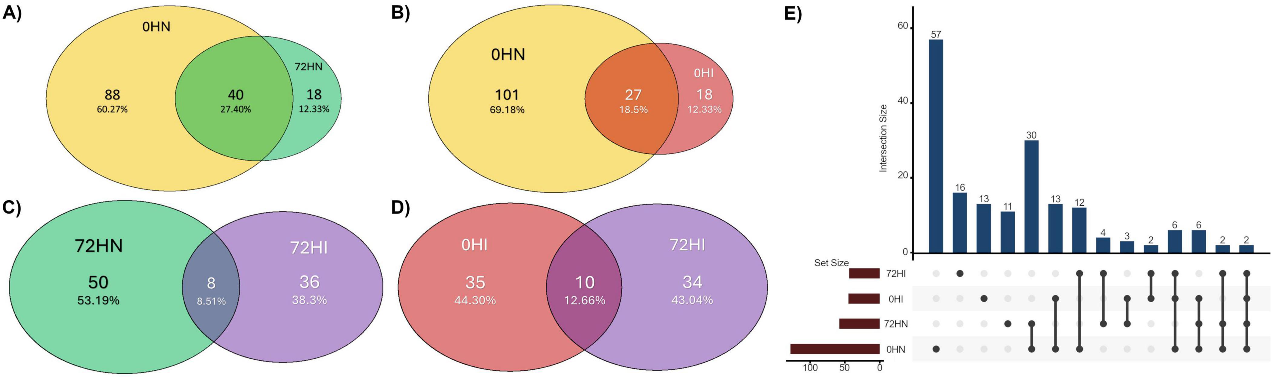 Figure showing shared and unique microbial features in Rhipicephalus microplus midgut across time and infection status. Panels A–D are Venn diagrams comparing feature overlap between conditions: (A) 0HN vs 72HN, (B) 0HN vs 0HI, (C) 72HN vs 72HI, and (D) 0HI vs 72HI, with counts and percentages. Panel E is an UpSet plot displaying intersection sizes among all condition combinations, with a bar chart highlighting the most abundant shared features and a dot matrix indicating specific overlaps. Horizontal bars show total feature counts per condition. The figure emphasizes how time and Babesia bovis infection influence microbial feature distribution.