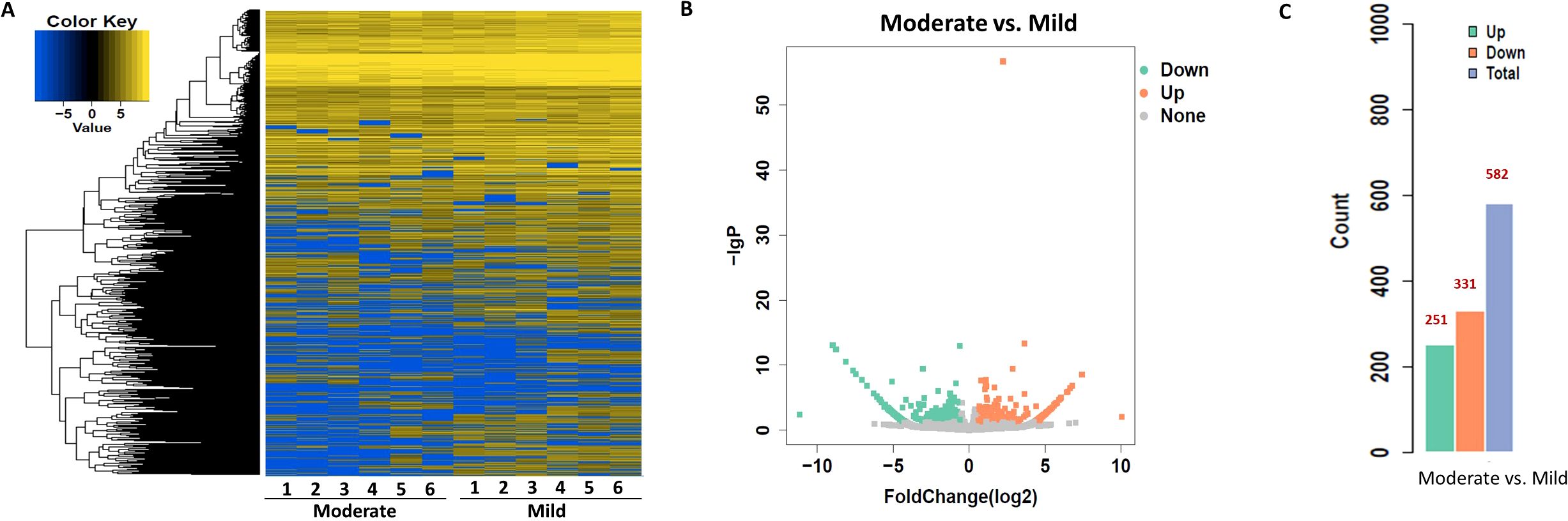 Panel A is a heatmap displaying values ranging from -5 to 5, with blue to yellow indicating intensity for moderate and mild categories. Panel B is a scatter plot illustrating fold changes and significance levels for genes, categorized as upregulated, downregulated, or none, with distinct colors. Panel C is a bar graph comparing the count of upregulated, downregulated, and total genes in moderate versus mild conditions.