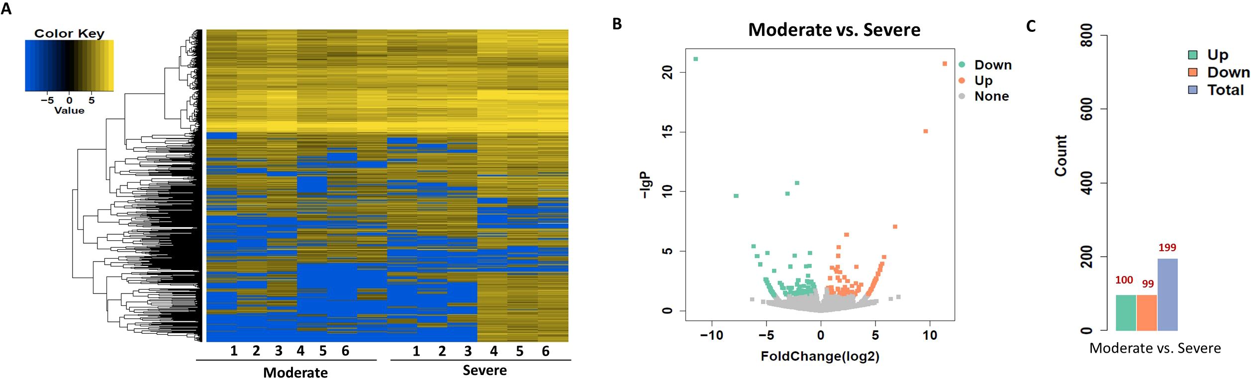 Panel A presents a heatmap with hierarchical clustering showing gene expression differences between moderate and severe cases. Panel B displays a volcano plot with log fold change and p-values, highlighting upregulated and downregulated genes. Panel C is a bar chart comparing the count of upregulated, downregulated, and total genes between moderate and severe conditions.