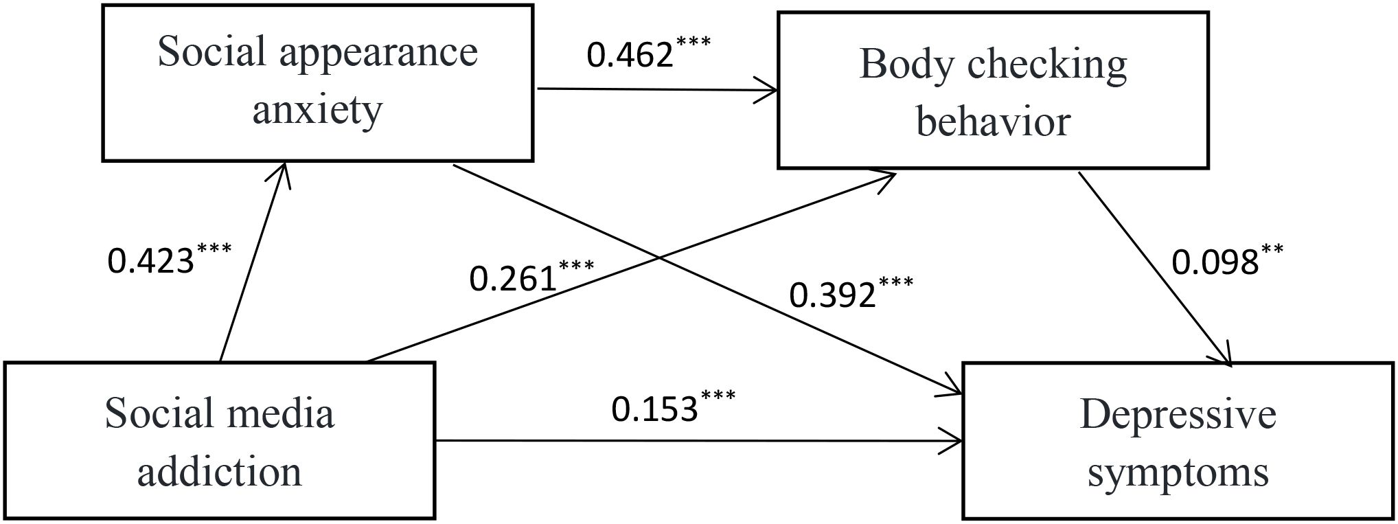 Flowchart illustrating relationships between social appearance anxiety, body checking behavior, social media addiction, and depressive symptoms. Lines with coefficients indicate paths: 0.462 from social appearance anxiety to body checking behavior, 0.098 from body checking behavior to depressive symptoms,0.423 from social media addiction to social appearance anxiety, 0.261 from social media addiction to body checking behavior, 0.392 from social appearance anxiety to depressive symptoms, and 0.153 directly from social media addition to depressive symptoms. Asterisks denote levels of statistical significance.