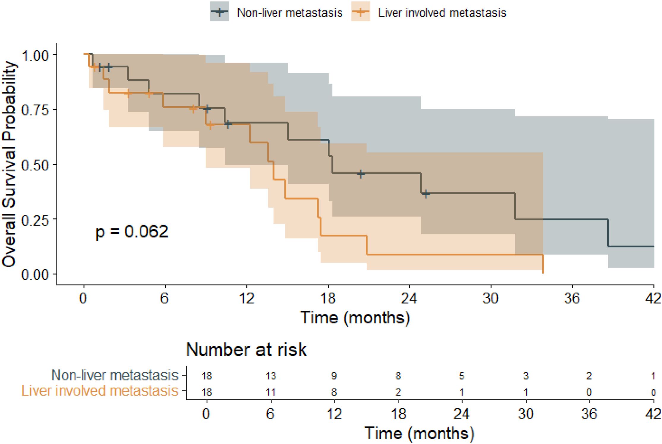 Kaplan-Meier survival plot comparing overall survival probability over 42 months for non-liver metastasis (gray line) and liver-involved metastasis (orange line). P-value is 0.062. The graph includes confidence intervals and a risk table showing the number of patients at risk at different time points.