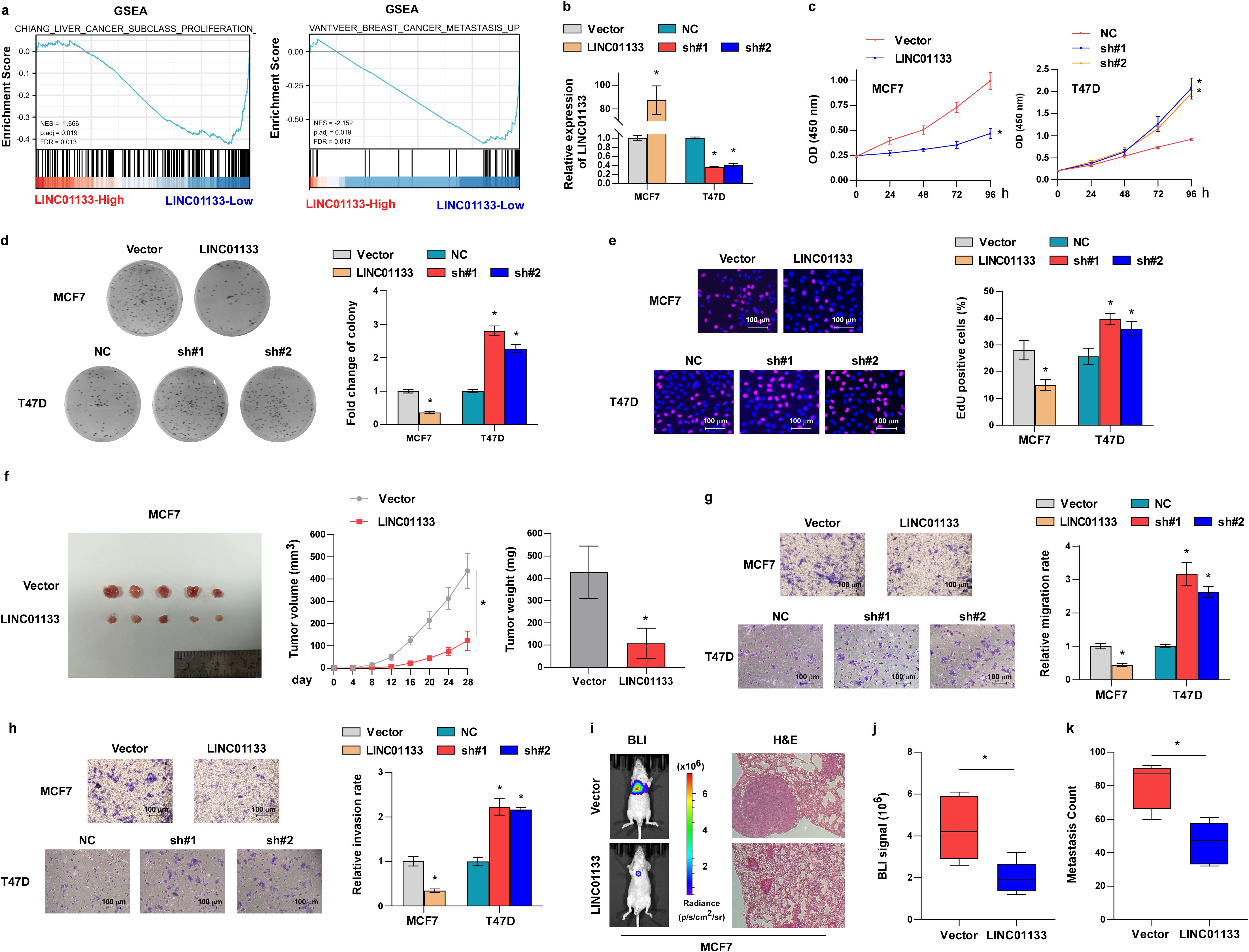 A series of scientific graphs, charts, and microscopic images showing the effects of LINC01133 on cancer cell proliferation, metastasis, and invasion. Panels include gene set enrichment analysis (GSEA) plots, bar and line graphs comparing vector and LINC01133 effects, colony formation and EDU assays, tumor volume measurements, and tissue staining images. Statistical significance is indicated with asterisks.