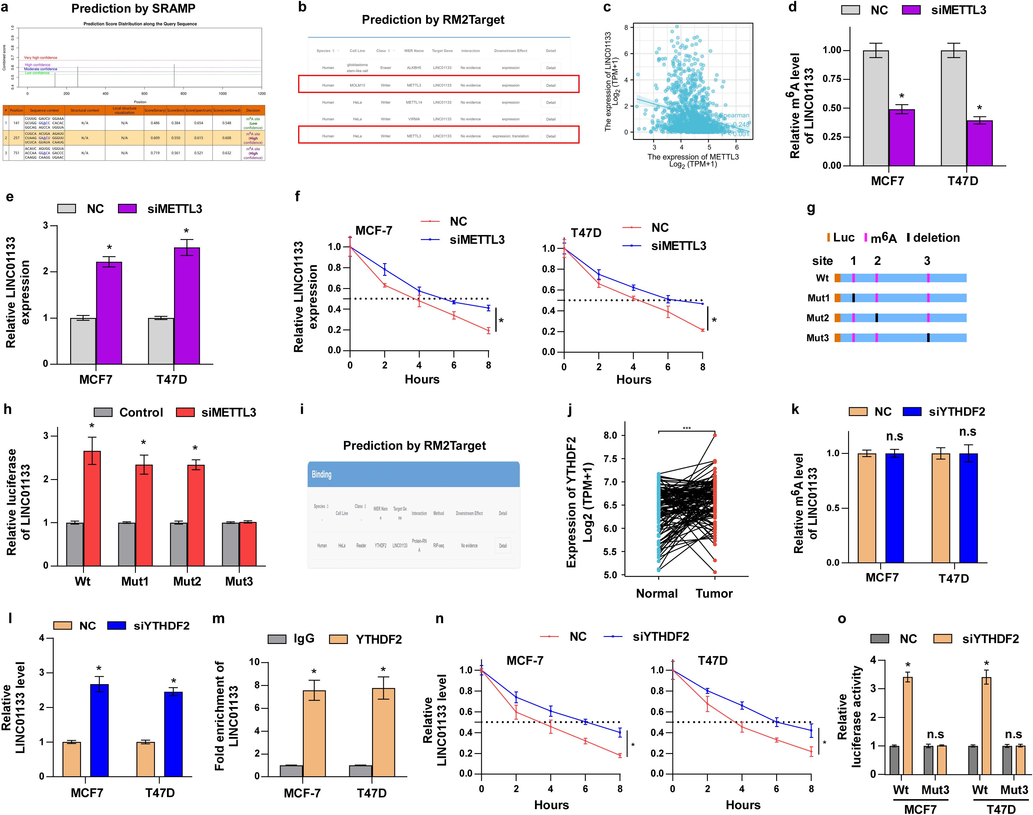 Charts and graphs analyzing the relationship between METTL3, YTHDF2, and LINC01133 in MCF-7 and T47D cells. Panels include RNA-binding predictions, expression levels, m6A modification, mutational analysis, and expression changes over time. Statistical significance is indicated.