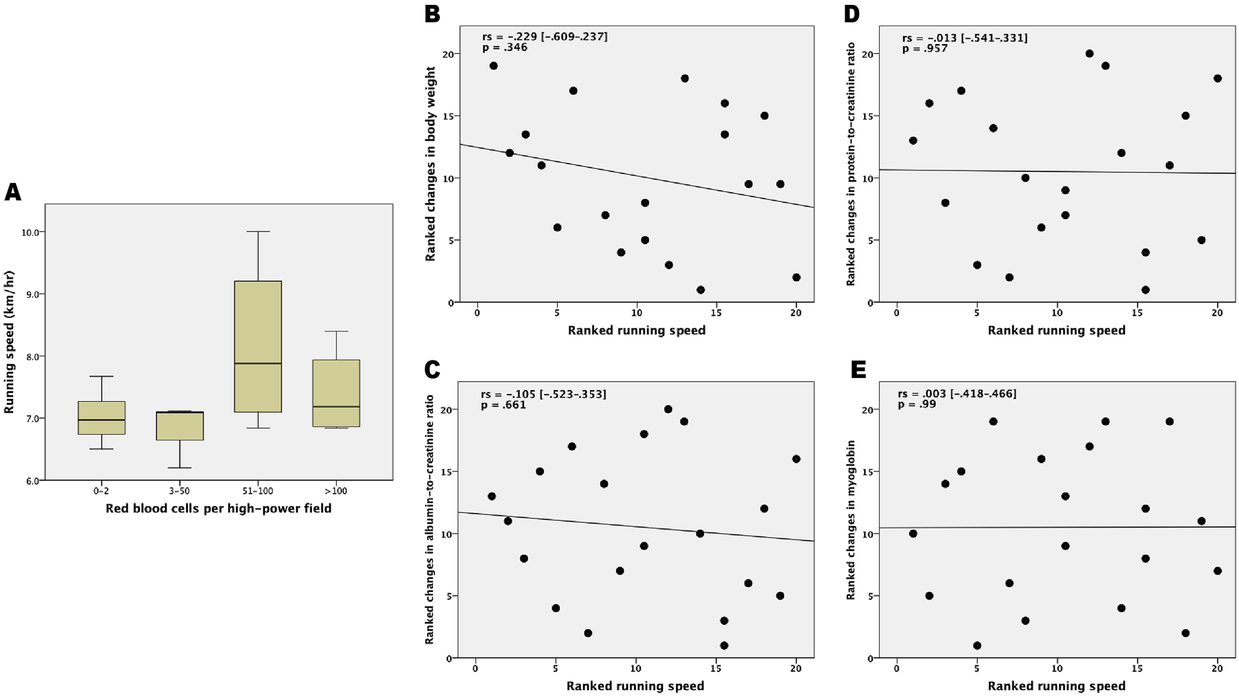 Image with five panels displaying different data visualizations: Panel A shows a box plot of running speed in kilometers per hour against red blood cells per high-power field, with categories 0-2, 3-50, 51-100, and greater than 100. Panels B, C, D, and E display scatter plots with fitted lines depicting associations between ranked running speed and various physiological measures: body weight, albumin-to-creatinine ratio, protein-to-creatinine ratio, and myoglobin. Each scatter plot includes correlation coefficient (rs) and p-values, indicating low to no significant correlations.