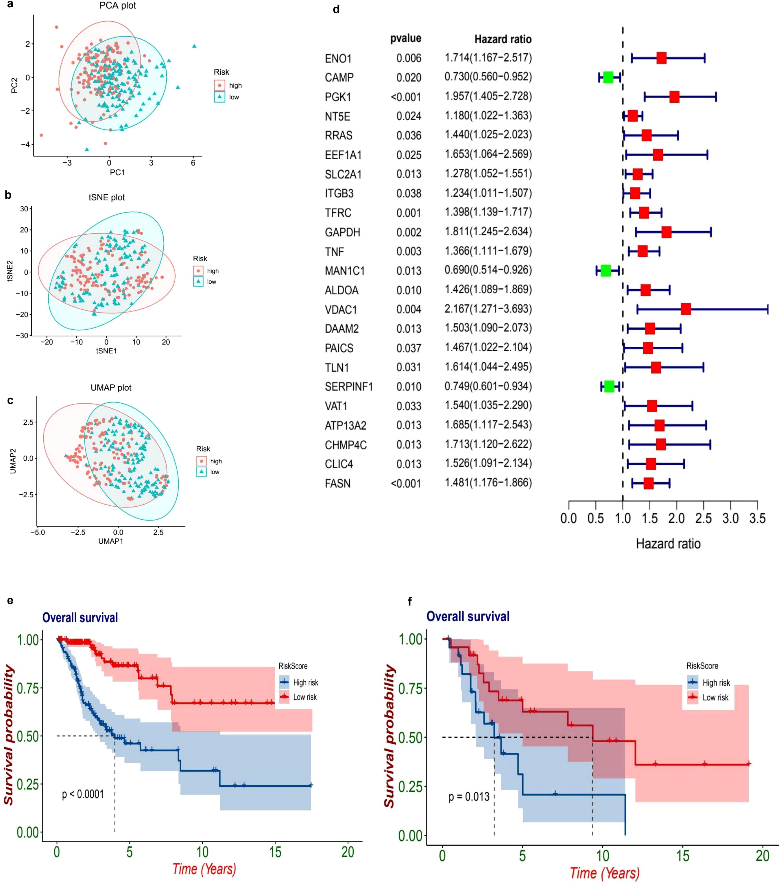 Several plots and graphs depict data analysis related to risk scores. Panel (a) displays a PCA plot with clusters of blue triangles and red circles, indicating low and high risk, respectively. Panel (b) shows a t-SNE plot with similar clustering. Panel (c) presents a UMAP plot with overlapping clusters. Panel (d) contains a forest plot with genes listed alongside p-values and hazard ratios, with red squares and blue lines indicating relative risk. Panels (e) and (f) depict survival probability graphs over time for high and low-risk groups, showing differences in survival outcomes with p-values indicated.