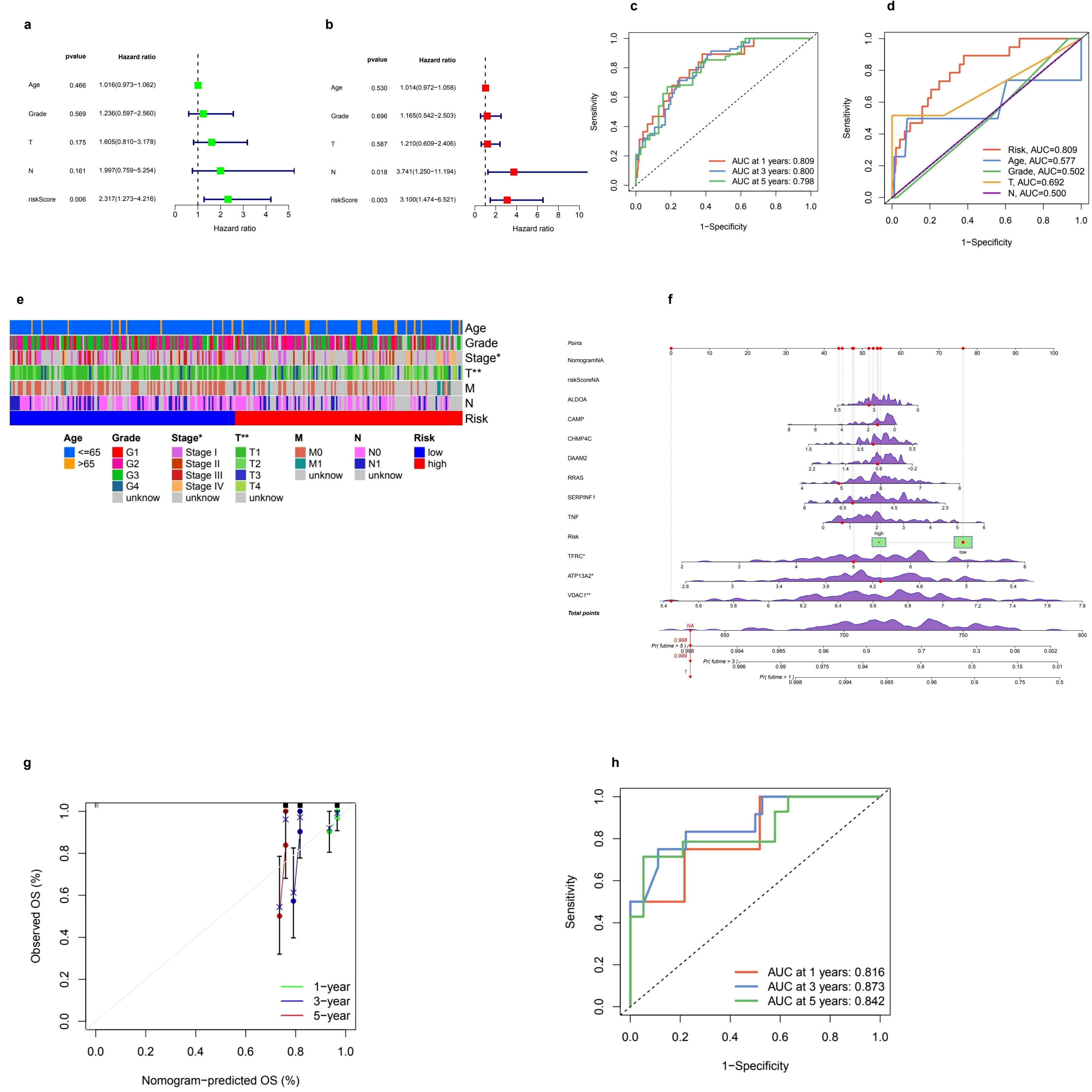 The image is a composite of multiple panels displaying data visualizations related to survival analysis. Panels (a) and (b) show forest plots with hazard ratios for clinical factors, coded with colors. Panel (c) and (d) are ROC curves with AUC values for different time frames. Panel (e) is a heatmap illustrating the relationship between clinical attributes like age, grade, and risk. Panel (f) displays a layered plot with various biomarkers and their distribution. Panel (g) is a calibration curve comparing observed and predicted overall survival percentages. Panel (h) is another ROC curve with AUC values for different years.