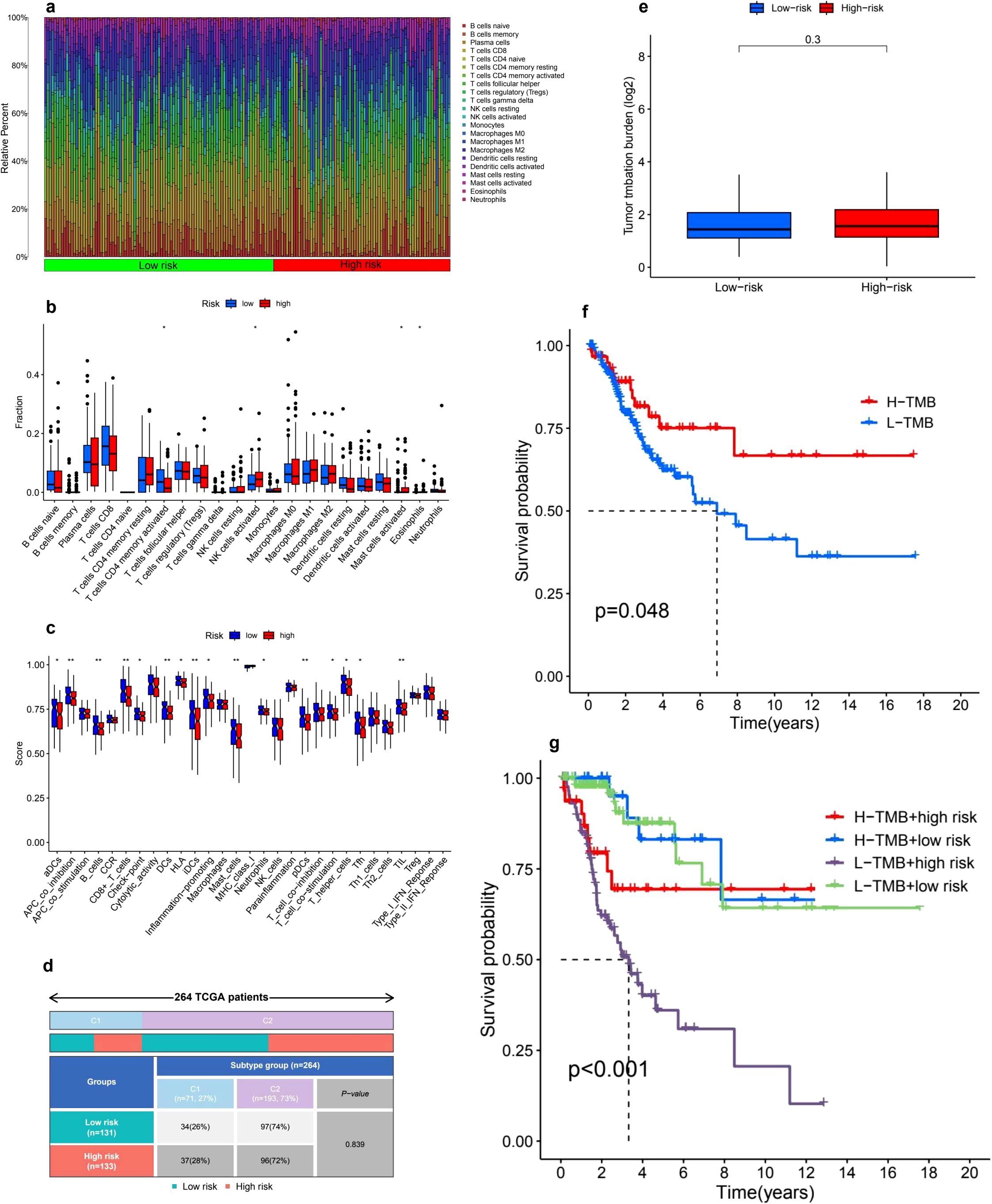 Graphical analysis of TCGA patient data. Panel (a) shows immune cell composition in low-risk and high-risk groups. Panel (b) compares fractions of various immune cell types between risks. Panel (c) displays scores for immune-related genes. Panel (d) summarizes patient group assignments. Panel (e) features a box plot of tumor mutation burdens for low-risk and high-risk categories. Panel (f) depicts a survival probability curve contrasting high and low tumor mutation burden (TMB). Panel (g) presents survival curves for combined high/low TMB with risk categories, indicating significant differences among groups.