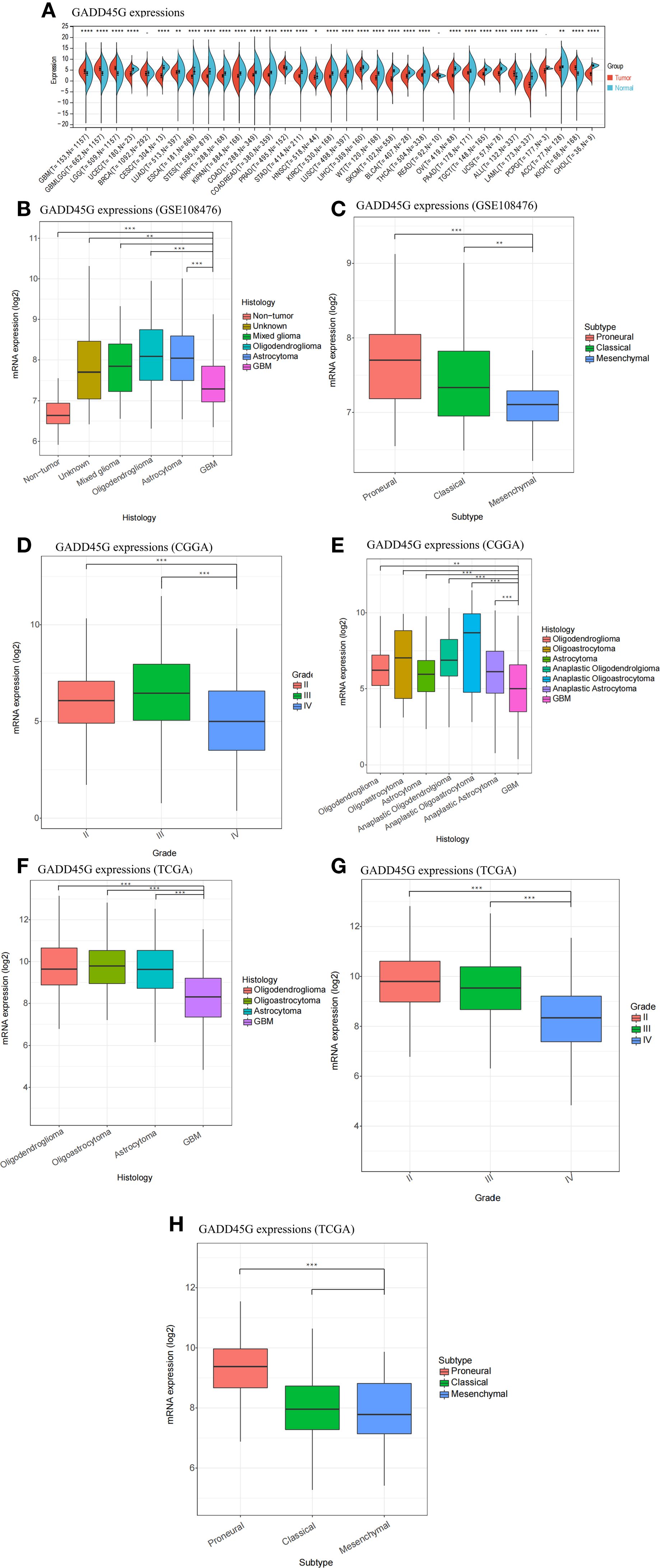 A series of eight graphs display GADD45G expression across different conditions. Graph A is a violin plot comparing tumor and normal groups. Graphs B, C, D, E, F, G, and H are box plots showcasing mRNA expression levels in various histological types, subtypes, and grades based on datasets GSE108476, CGGA, and TCGA, with significant differences marked by asterisks.