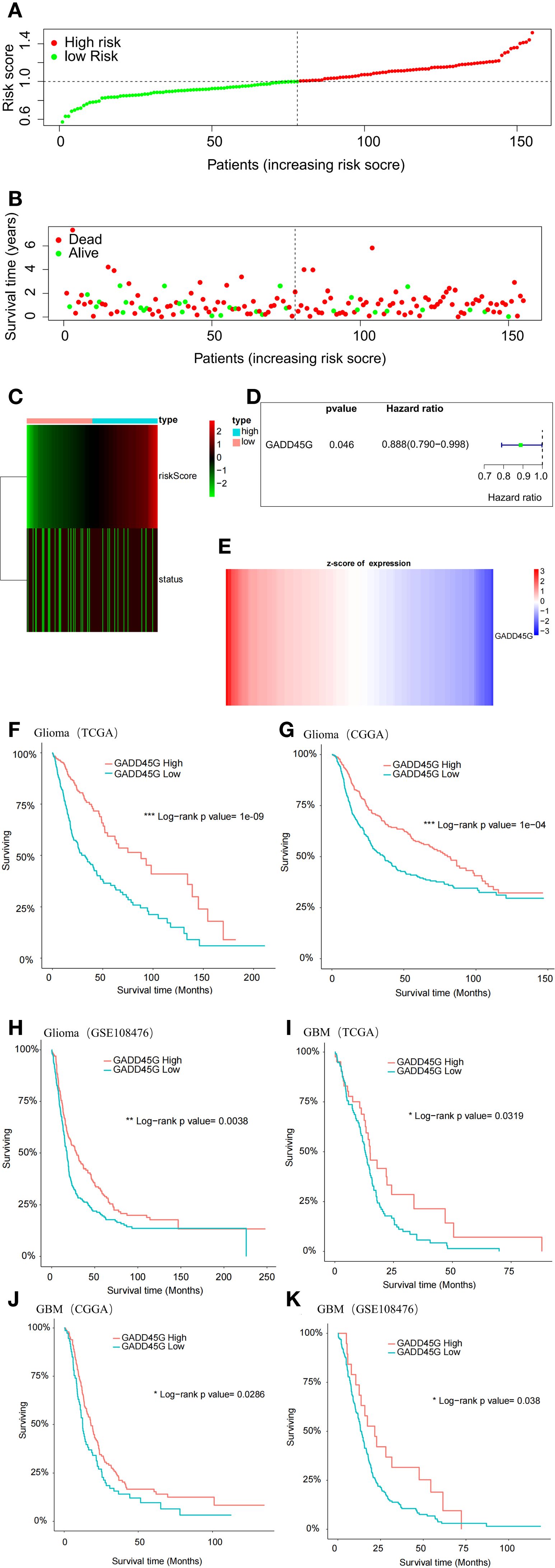 Graphical panel with multiple sub-figures analyzing risk scores and survival data. A: Line graph showing patient risk scores, differentiating high and low risk with red and green dots. B: Scatter plot of survival time versus risk score. C: Heat map comparing risk score types and status. D: Hazard ratio table for GADD45G, indicating a significant value. E: Expression level z-score heat map for GADD45G. F-K: Kaplan-Meier survival curves for glioma and GBM across different datasets, contrasting high and low GADD45G expression, with log-rank p-values noted.