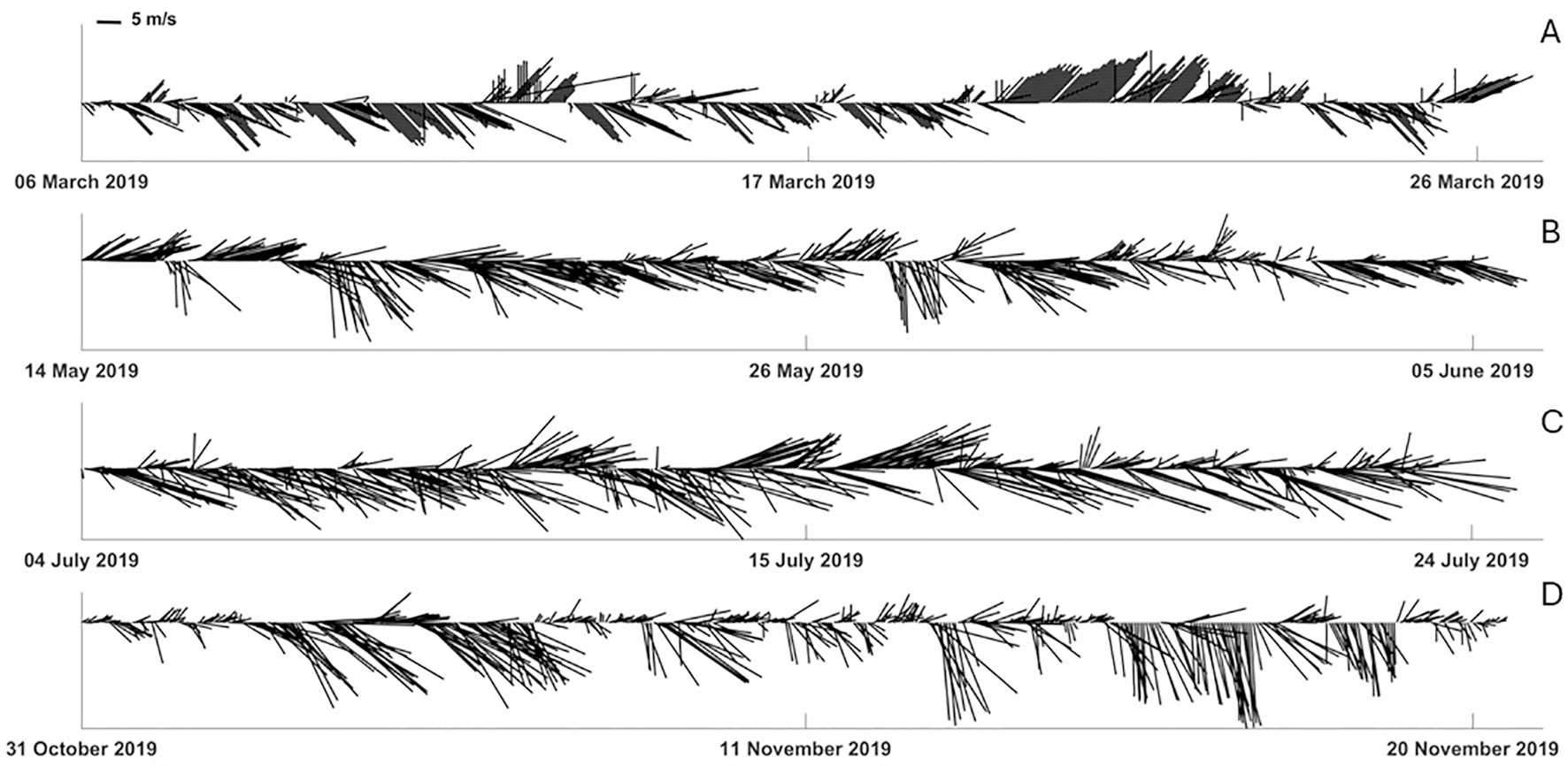 Time-lapse image showing the growth of fungal hyphae over various dates in 2019, labeled March 8, March 17, March 26, May 14, May 26, June 5, July 4, July 15, July 24, October 31, and November 11.