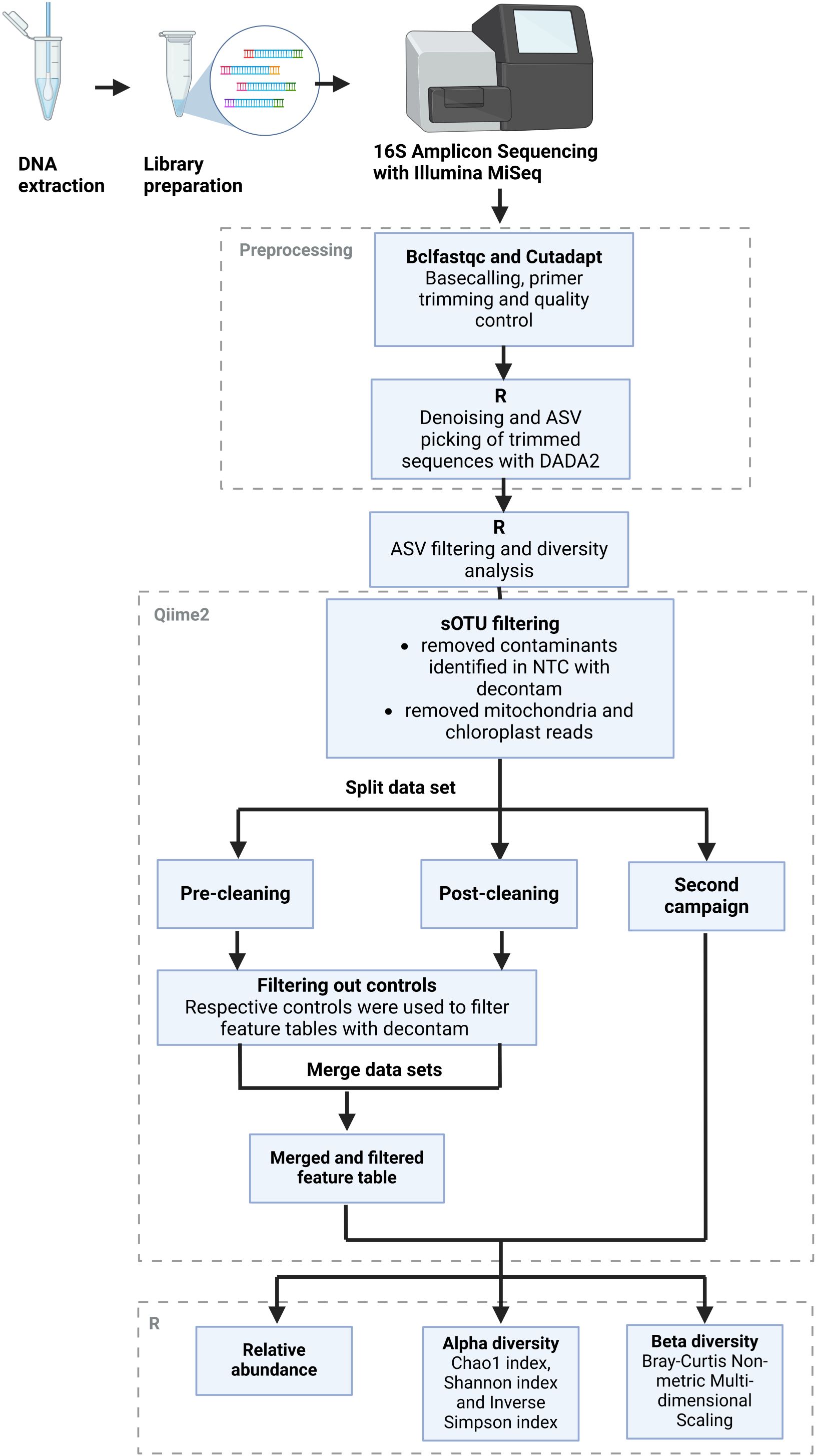 Flowchart illustrating a 16S Amplicon Sequencing workflow. Steps include DNA extraction, library preparation, preprocessing with Bclfastqc and Cutadapt for basecalling and quality control, denoising with DADA2, ASV filtering, and diversity analysis. The dataset is split for pre-cleaning, post-cleaning, and second campaign processes. Controls are filtered out using decontam, followed by merging datasets to create a filtered feature table. Analysis includes relative abundance, alpha diversity (Chao1, Shannon, Inverse Simpson indices), and beta diversity using Bray-Curtis scaling.