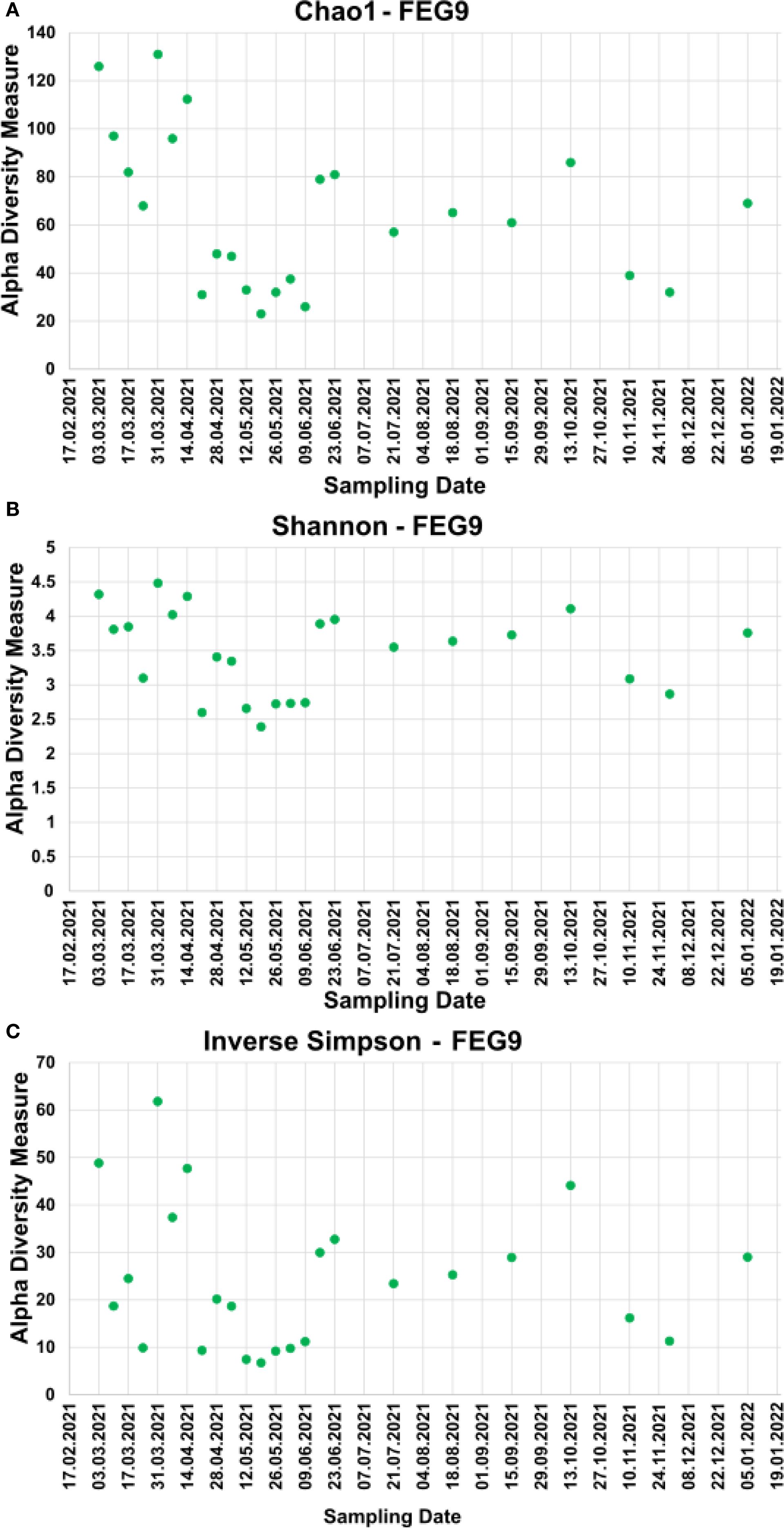 Three scatter plots displaying alpha diversity measures over time for “FEG9”. Plot A shows the Chao1 index, Plot B shows the Shannon index, and Plot C shows the Inverse Simpson index. Each plot has sampling dates on the x-axis and diversity measures on the y-axis, demonstrating fluctuations in diversity from February 2021 to January 2022.