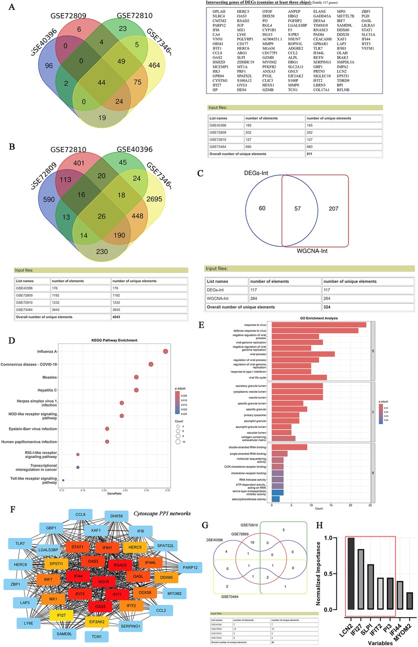 A series of data visualizations are displayed. Panel A shows a Venn diagram of datasets GSE72809, GSE72810, GSE40396, and GSE73446 with intersecting gene counts. Panel B provides Venn diagram of intersection module member genes across the multi-datasets for bacterial and viral infections. Panel C features a Venn diagram comparing DEGs-Int and WGCNA-Int datasets. Panel D presents a dot plot for KEGG pathway enrichment, highlighting pathways like Coronavirus disease with p-value differentiation. Panel E contains a bar chart for GO enrichment analysis showing key biological processes. Panel F depicts a Cytoscape PPI network chart with connections among gene elements. Panel G introduces another Venn diagram for the datasets with a summary table. Panel H displays a bar graph ranking variables by normalized importance.