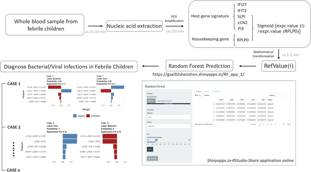Flowchart illustrating the process of diagnosing bacterial or viral infections in febrile children. It starts with nucleic acid extraction from whole blood samples, followed by PCR amplification using host and housekeeping gene signatures. After mathematical transformation, data is input into a Random Forest Prediction model for diagnostic classification. A web application interface shows the prediction results with case comparisons between bacterial and viral infections using feature weights.