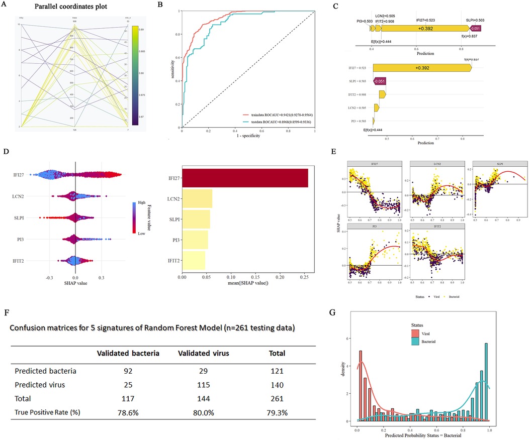 Composite image containing various data visualizations: (A) Parallel coordinates plot with colored lines representing variable interactions. (B) Receiver Operating Characteristic (ROC) curve showing model performance with different AUC values presented. (C) Bar graph illustrating feature contributions to model predictions. (D) SHAP value plots displaying feature importance; left shows individual SHAP values, right shows mean values. (E) Scatter plots of SHAP values versus features, with trend lines for bacterial and viral statuses. (F) Confusion matrix table detailing predictions versus actual outcomes for a Random Forest model, including true positive rates. (G) Density plot indicating predicted probabilities for bacterial versus viral status.
