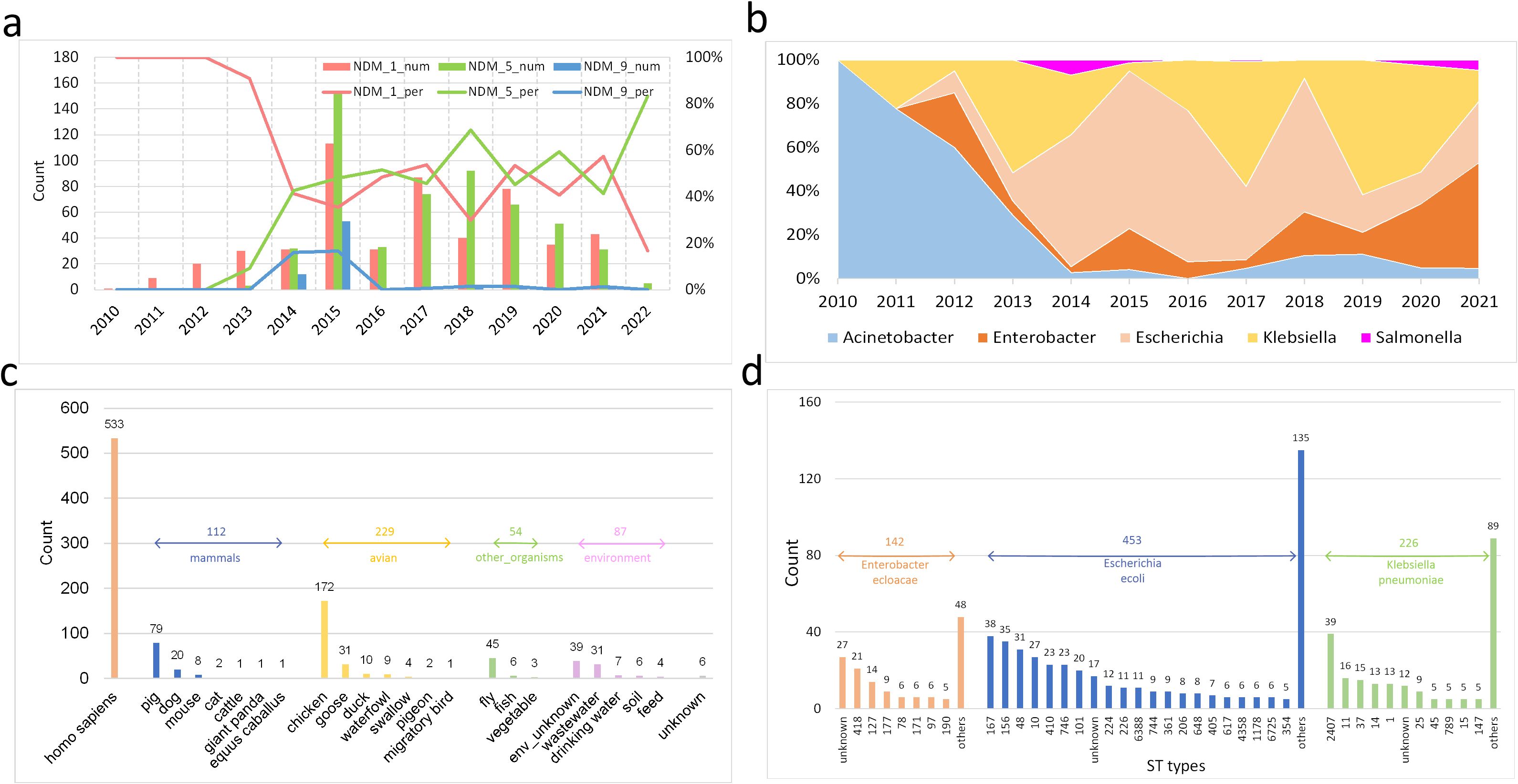 a. Bar graph showing counts and percentages of NDM (New Delhi metallo-beta-lactamase) variants from 2010 to 2022, with separate lines for NDM_1, NDM_5, and NDM_g. b. Stacked area chart displaying the proportion of different bacteria types from 2010 to 2021, including Acinetobacter, Enterobacter, Escherichia, Klebsiella, and Salmonella. c. Bar chart illustrating counts of various organisms, including mammals, avian, and environmental categories, with humans having the highest count. d. Bar chart showing counts of different ST (sequence type) groups for Enterobacter cloacae, Escherichia coli, and Klebsiella pneumoniae, with Escherichia coli having the highest overall count.