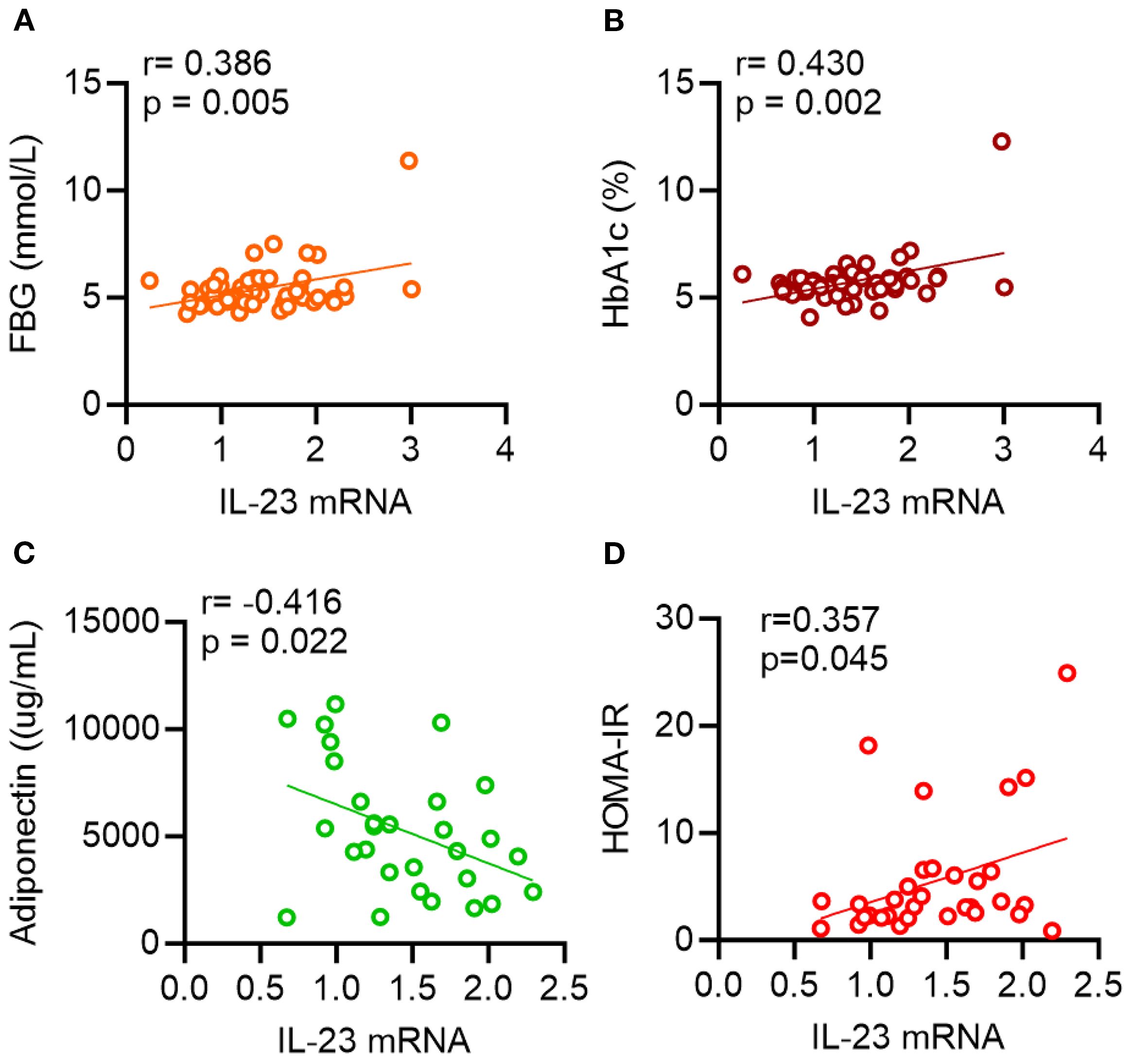 Scatter plots show correlations between IL-23 mRNA levels and various biomarkers. (A) Positive correlation with fasting blood glucose (r=0.386, p=0.005). (B) Positive correlation with HbA1c (r=0.430, p=0.002). (C) Negative correlation with adiponectin (r=-0.416, p=0.022). (D) Positive correlation with HOMA-IR (r=0.357, p=0.045). Dots represent data points with lines indicating trend directions.