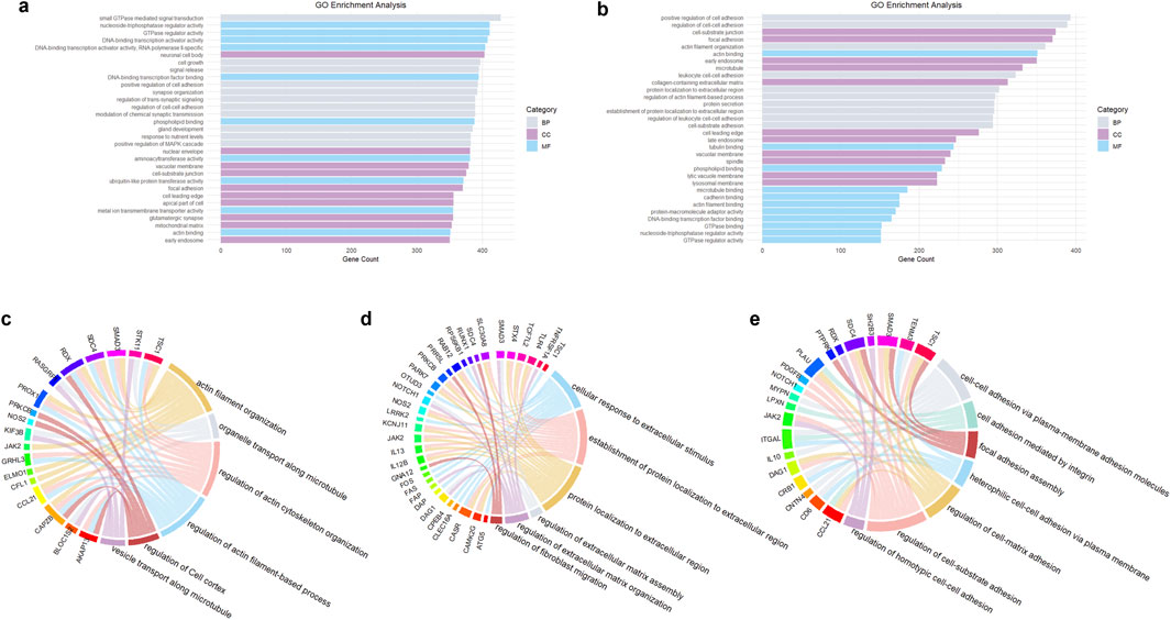 Bar graphs and circular chord diagrams illustrate Gene Ontology (GO) enrichment analysis. Panels a and b show bar graphs with