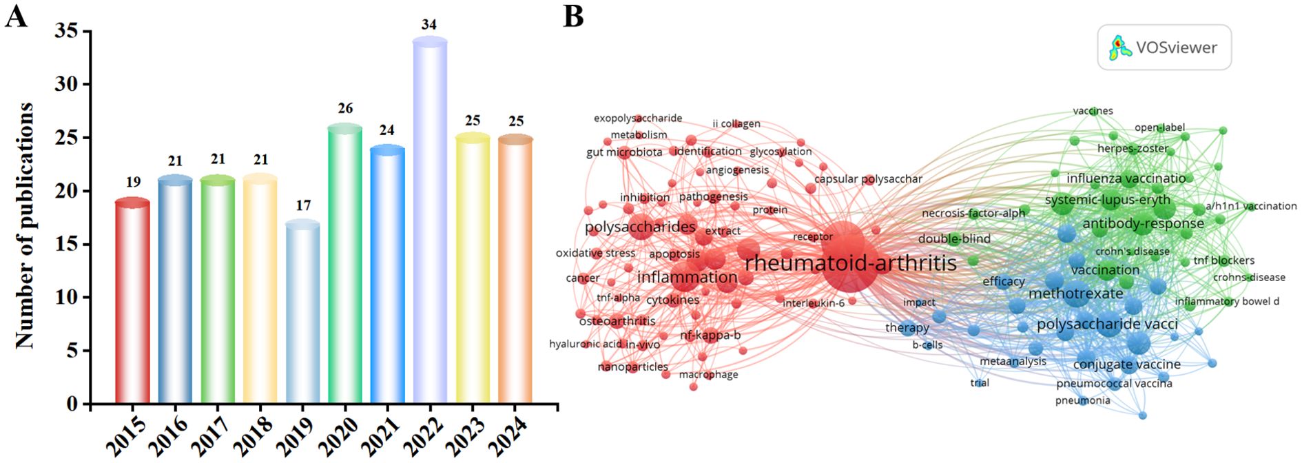 Panel A displays a bar chart of publication numbers ranging from 2015 to 2024, showing an increase from 19 to 34, then a decline to 25. Panel B features a VOSviewer network visualization. The central focus is on “rheumatoid arthritis,” surrounded by related terms like “inflammation,” “therapy,” and “vaccination,” with interconnected nodes in red, green, and blue.