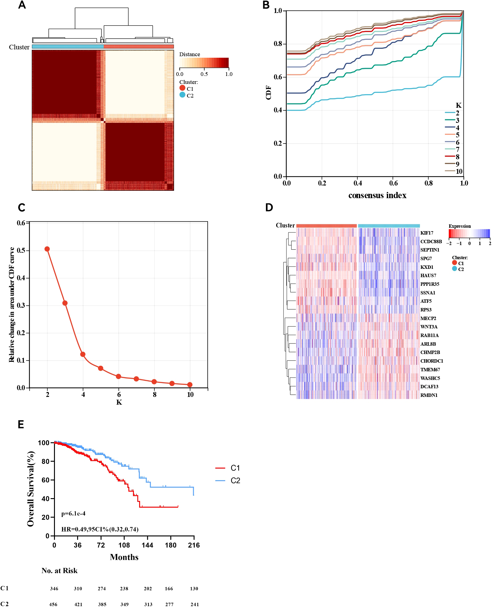 The image consists of five panels labeled A to E. Panel A is a heatmap showing clustering of data into C1 and C2. Panel B displays a line graph of cumulative distribution functions for consensus indices across different cluster numbers. Panel C shows a graph of relative changes in the area under the CDF curve, highlighting optimal cluster number. Panel D is a heatmap of gene expression levels across clusters C1 and C2, with genes listed on the right. Panel E presents a Kaplan-Meier curve comparing overall survival between clusters C1 and C2, indicating better survival for C2.