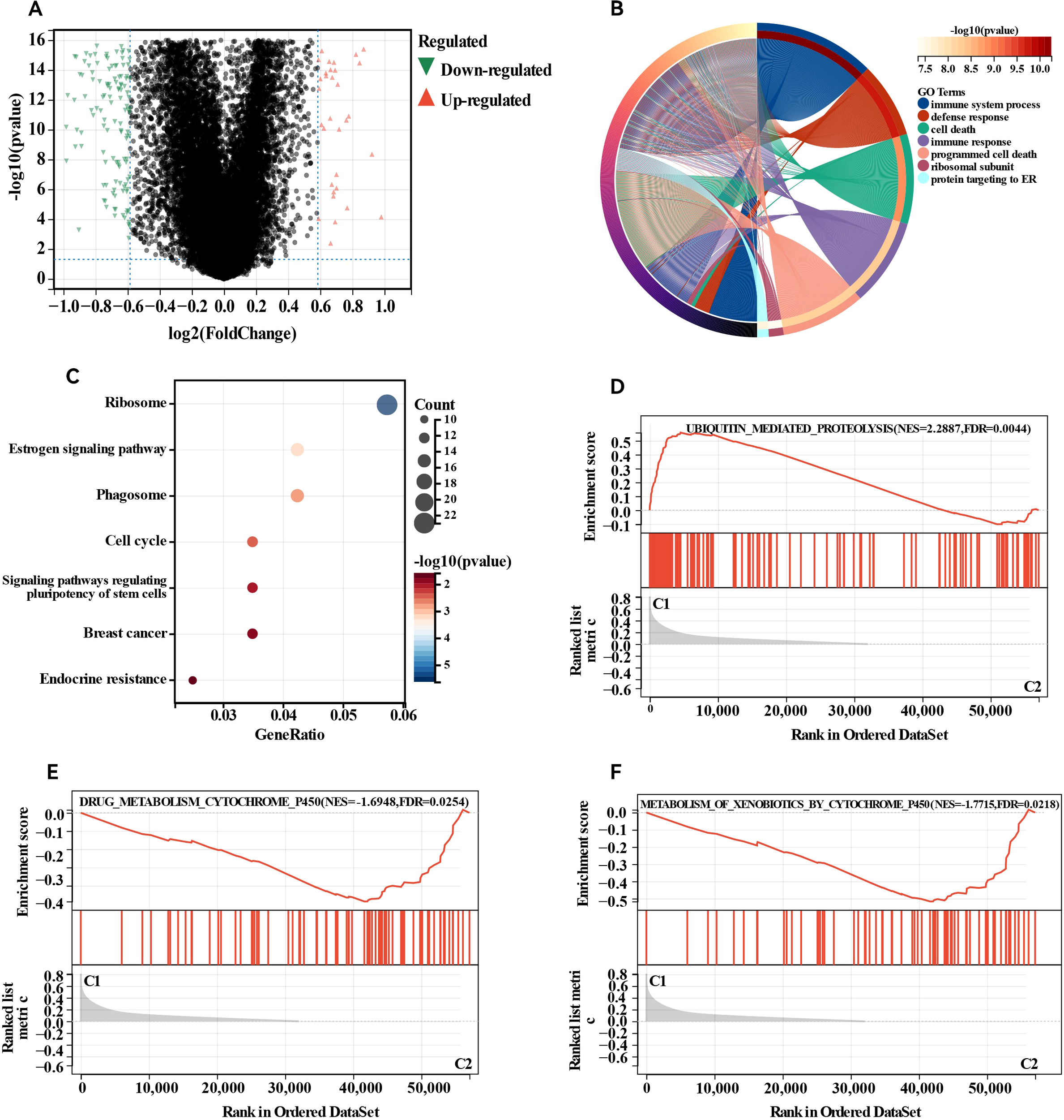 Panel A features a volcano plot indicating up-regulated and down-regulated genes with corresponding p-values. Panel B shows a circular diagram with gene ontology terms related to biological processes, color-coded by p-value significance. Panel C presents a dot plot highlighting key pathways, sized by count and colored by p-value. Panels D, E, and F display enrichment plots for specific gene sets, including ubiquitin-mediated proteolysis and cytochrome P450 metabolism effects, with NES and FDR values noted.