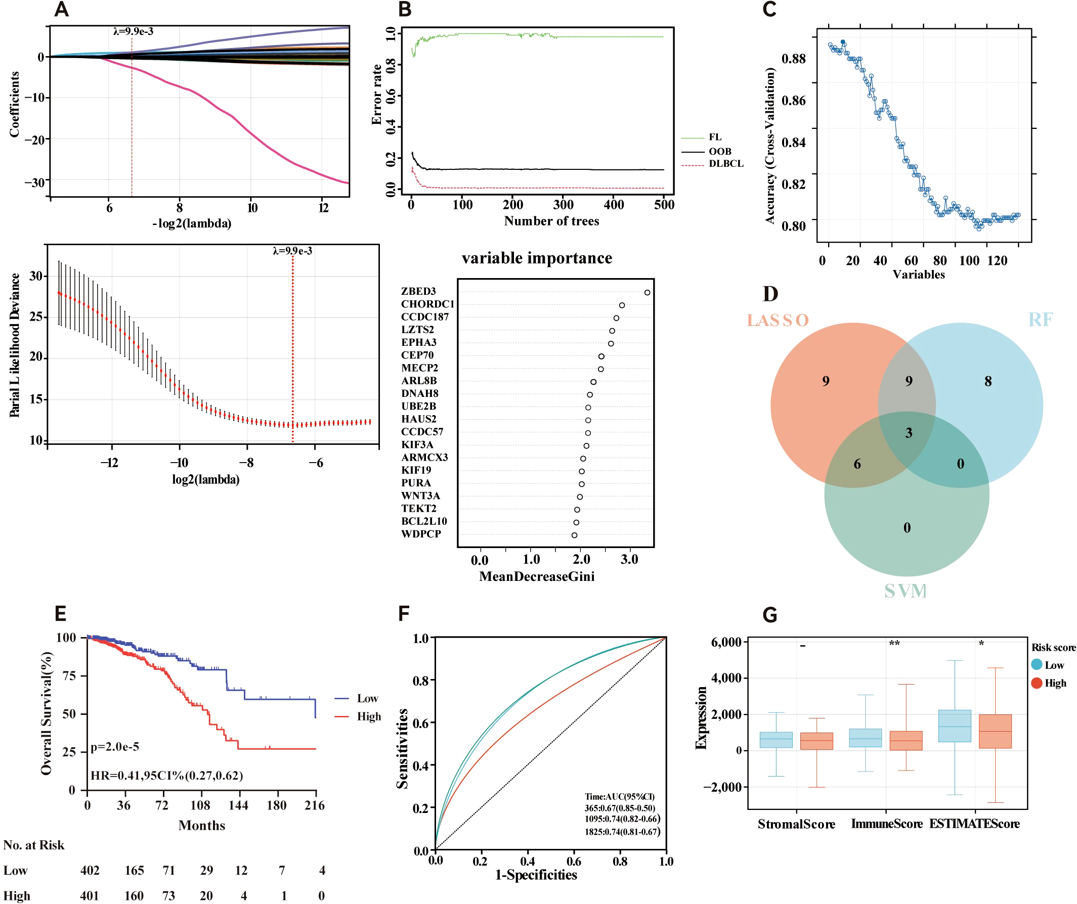 A composite image of seven panels analyzing data: A) Graph showing coefficients vs. log-lambda for LASSO regression with highlighted lambda value. B) Error rate graph versus the number of trees for a Random Forest model with three lines for different data sets (FL, OOB, DLBCL). C) Accuracy vs. number of variables plot, showing a decreasing trend. D) Venn diagram comparing feature selection methods: LASSO, RF, SVM. E) Kaplan-Meier survival curves for two risk groups with significant p-value. F) ROC curves for different models, comparing sensitivities vs. 1-specificity. G) Box plot showing expression levels for StromalScore, ImmuneScore, and ESTIMATEScore between low and high-risk groups.