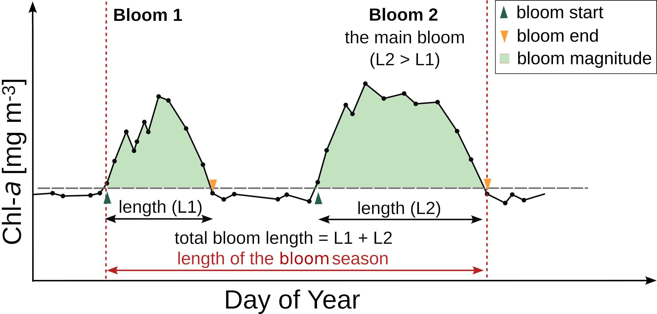Graph illustrates definitions of the phenology metrics used in the text. Chlorophyll-a concentrations exceeding a long-term baseline are marked as algal blooms, where the second is larger than the first, as it is more common in the subarctic Pacific. Bloom start and end points are the points where chlorophyll-a concentrations cross the baseline. The bloom magnitudes are the areas under the chlorophyll-a curve but above the baseline level, and the total bloom length is the duration of the L1 plus L2 blooms. The bloom season lasts from the beginning of the first until the end of the last bloom each year.