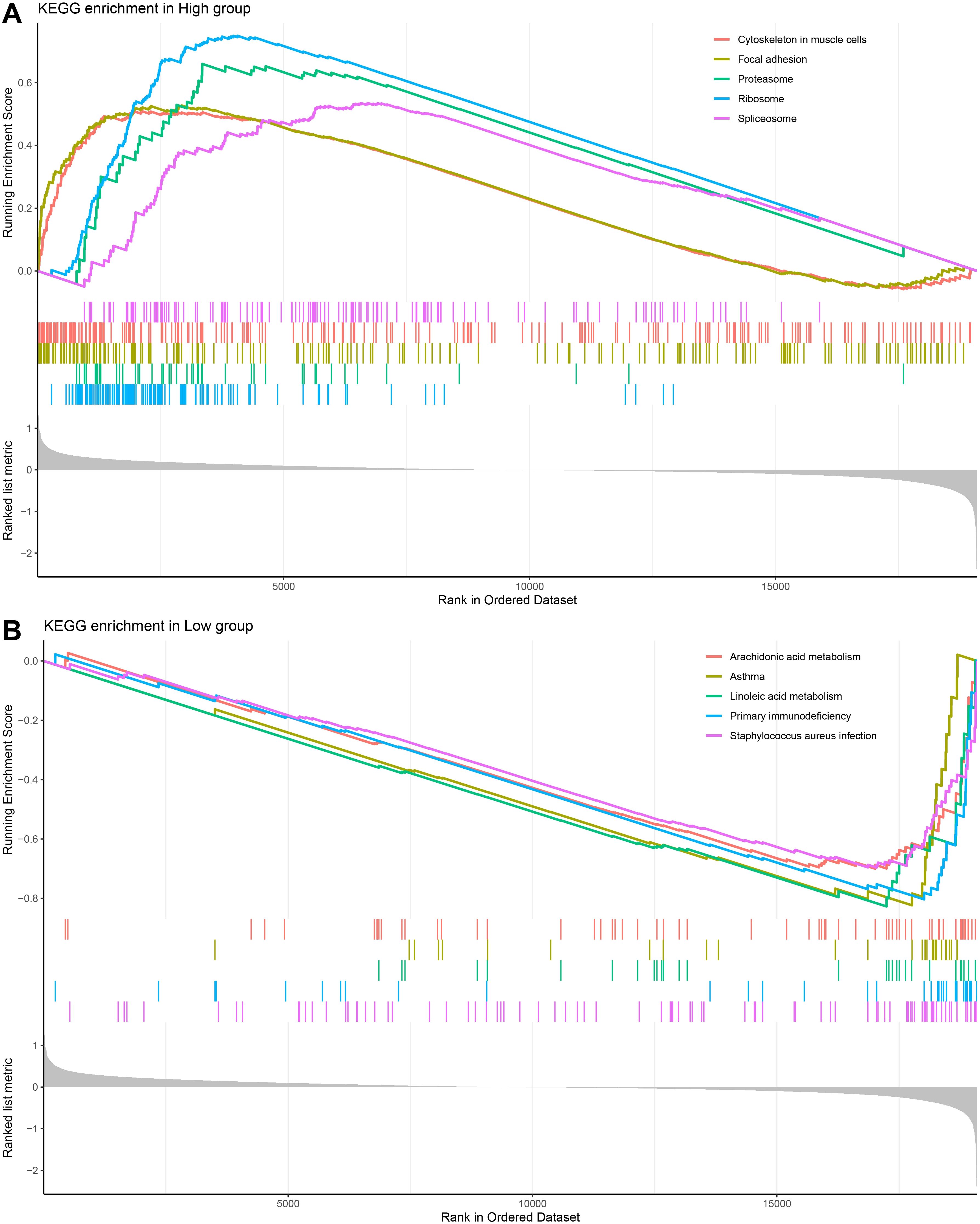 Dual graphs depict KEGG pathway enrichment analysis. Graph A shows enrichment in the High group with pathways like cytoskeleton in muscle cells and proteasome. Graph B shows enrichment in the Low group with pathways like arachidonic acid metabolism and asthma. Both graphs display running enrichment scores against ranked datasets and include color-coded pathways.