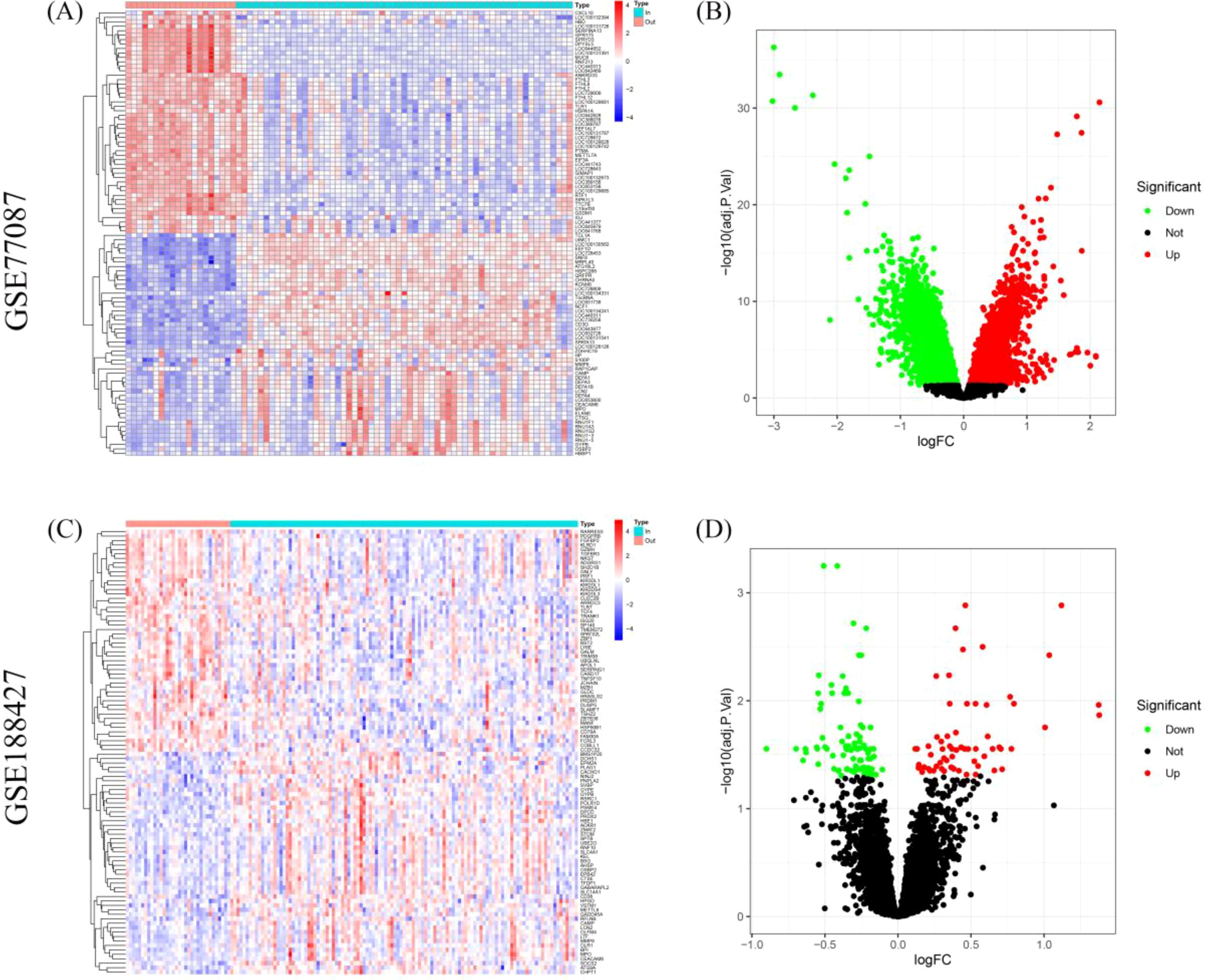Heatmaps and volcano plots show gene expression analysis results for two datasets. Panels A and C are heatmaps for GSE77087 and GSE188427, depicting gene expression levels with a gradient from blue (downregulated) to red (upregulated). Panels B and D are corresponding volcano plots showing gene significance, with red and green dots indicating upregulated and downregulated genes, respectively, based on log fold change and adjusted p-values.