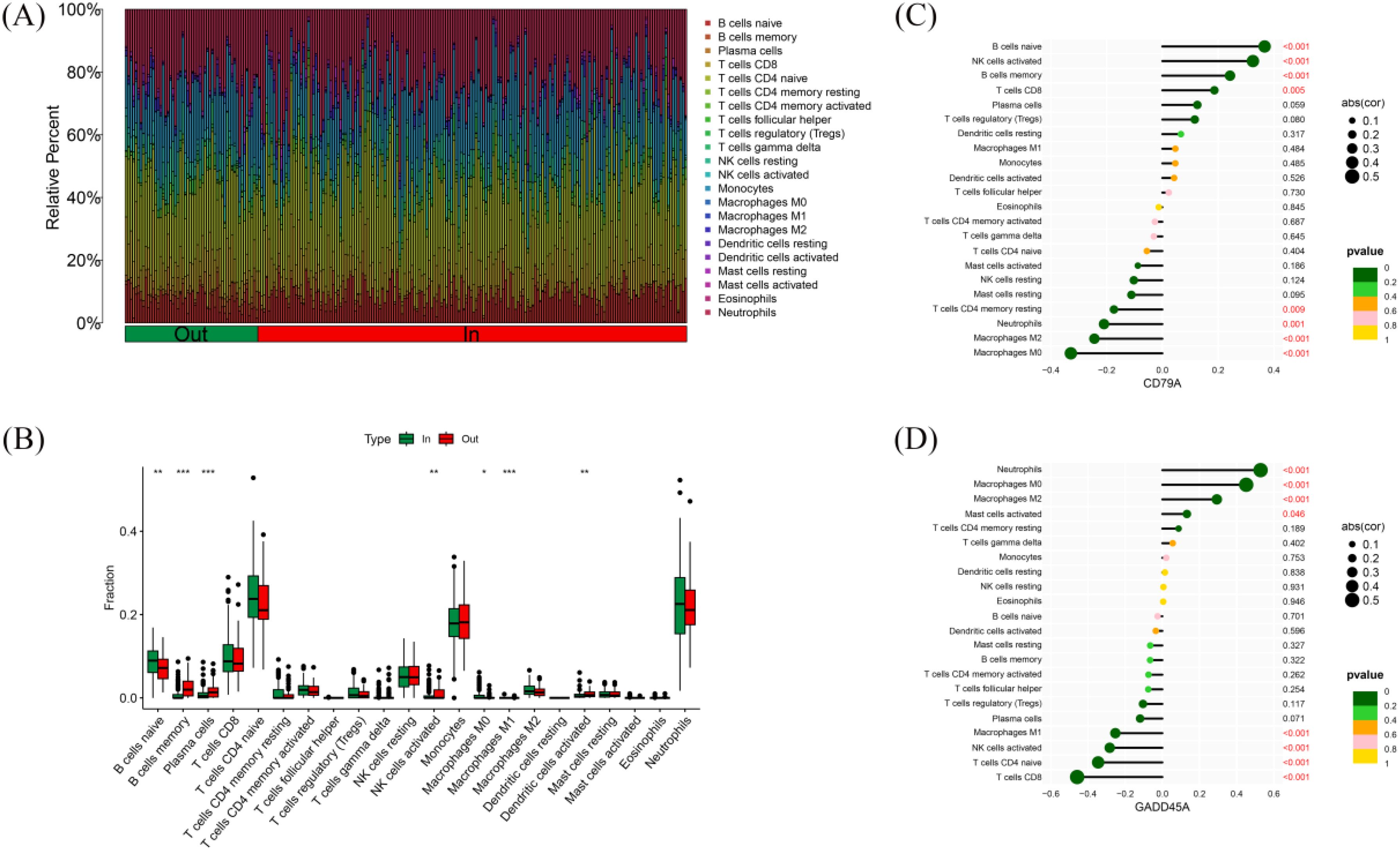 Panel (A) shows a stacked bar chart of immune cell distribution in two groups labeled “Out” and “In”. Panel (B) presents box plots comparing the fraction of various immune cells between groups. Panels (C) and (D) display dot plots of the correlation between cell types and CD79A and GADD45A expression, respectively, with significance indicated by color and size.